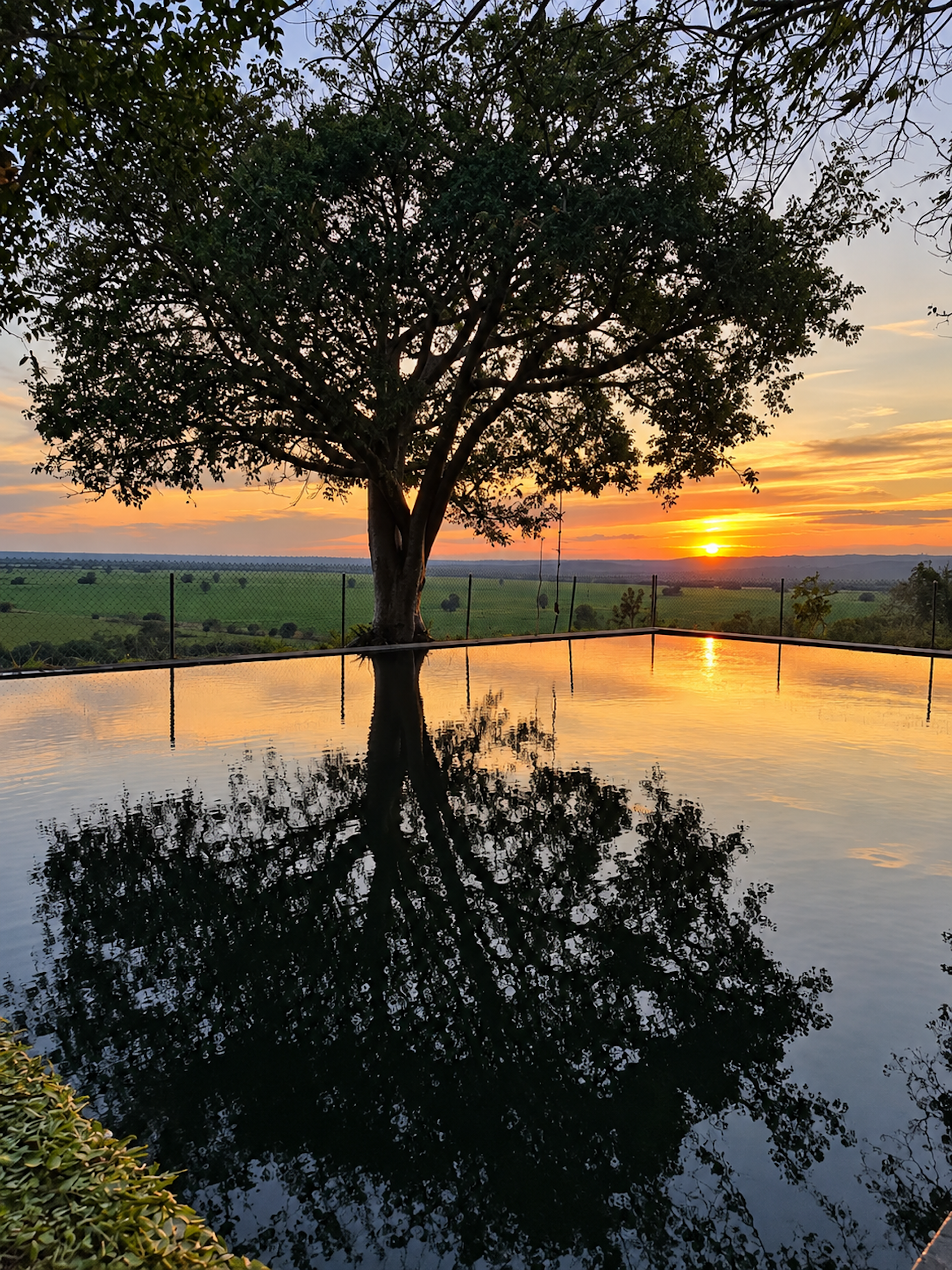  Expansive Ranch with Agricultural Land and Water Resources - 物件實景
