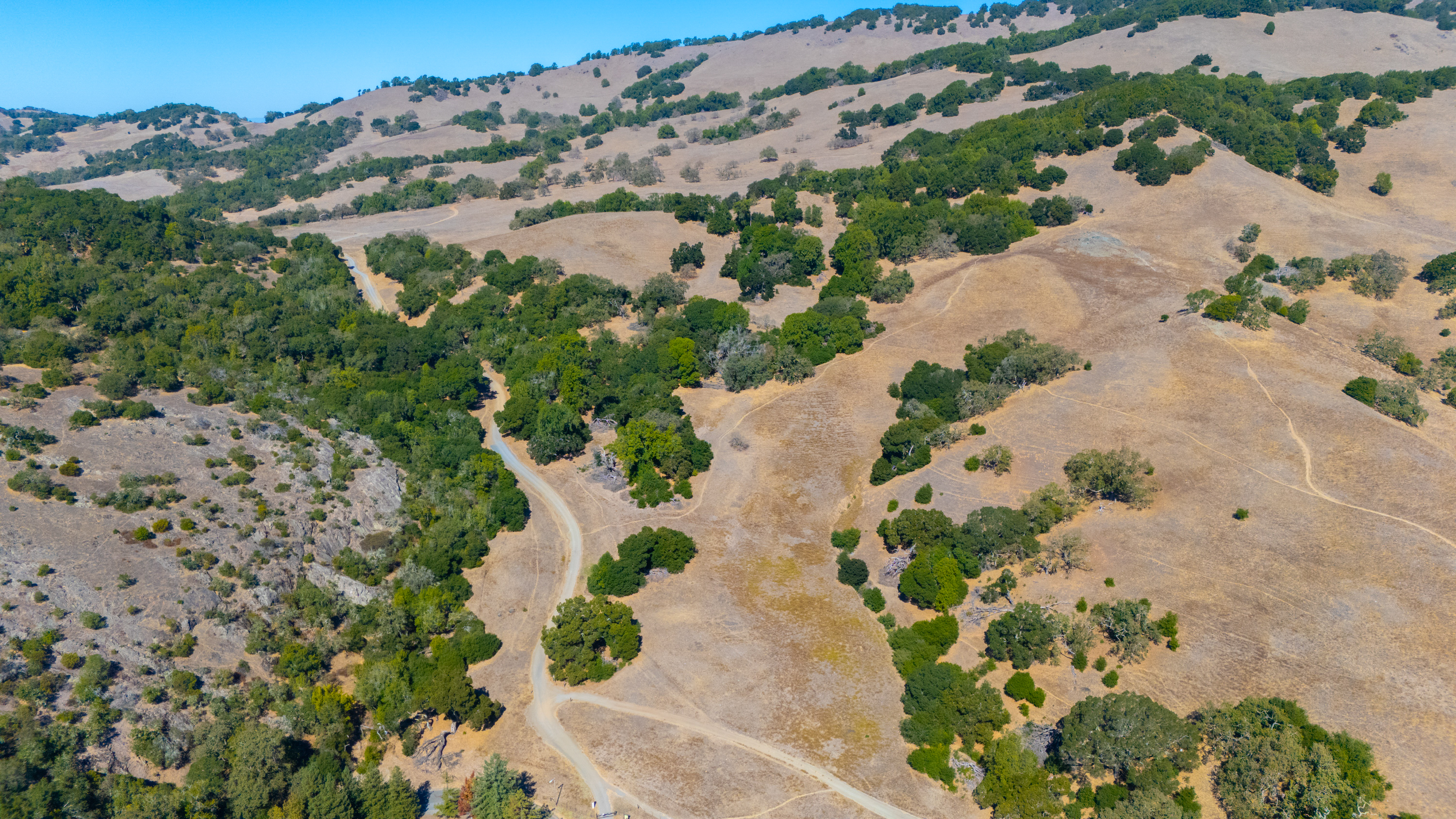  728 Eucalyptus Avenue, Novato, CA 94947 - 物件實景