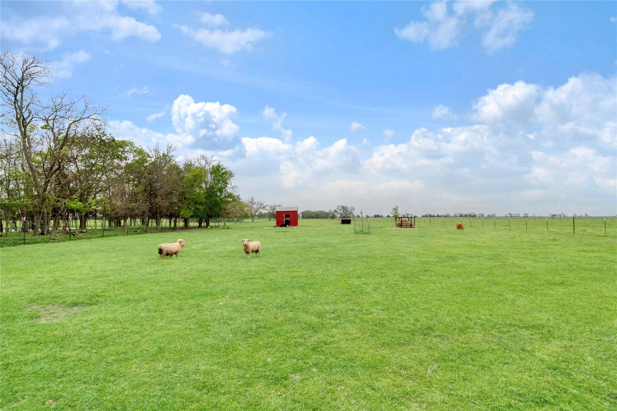 Honey Grove, Texas, 75446, United States, 3 Bedrooms Bedrooms, ,3 BathroomsBathrooms,Residential,For Sale,1937107