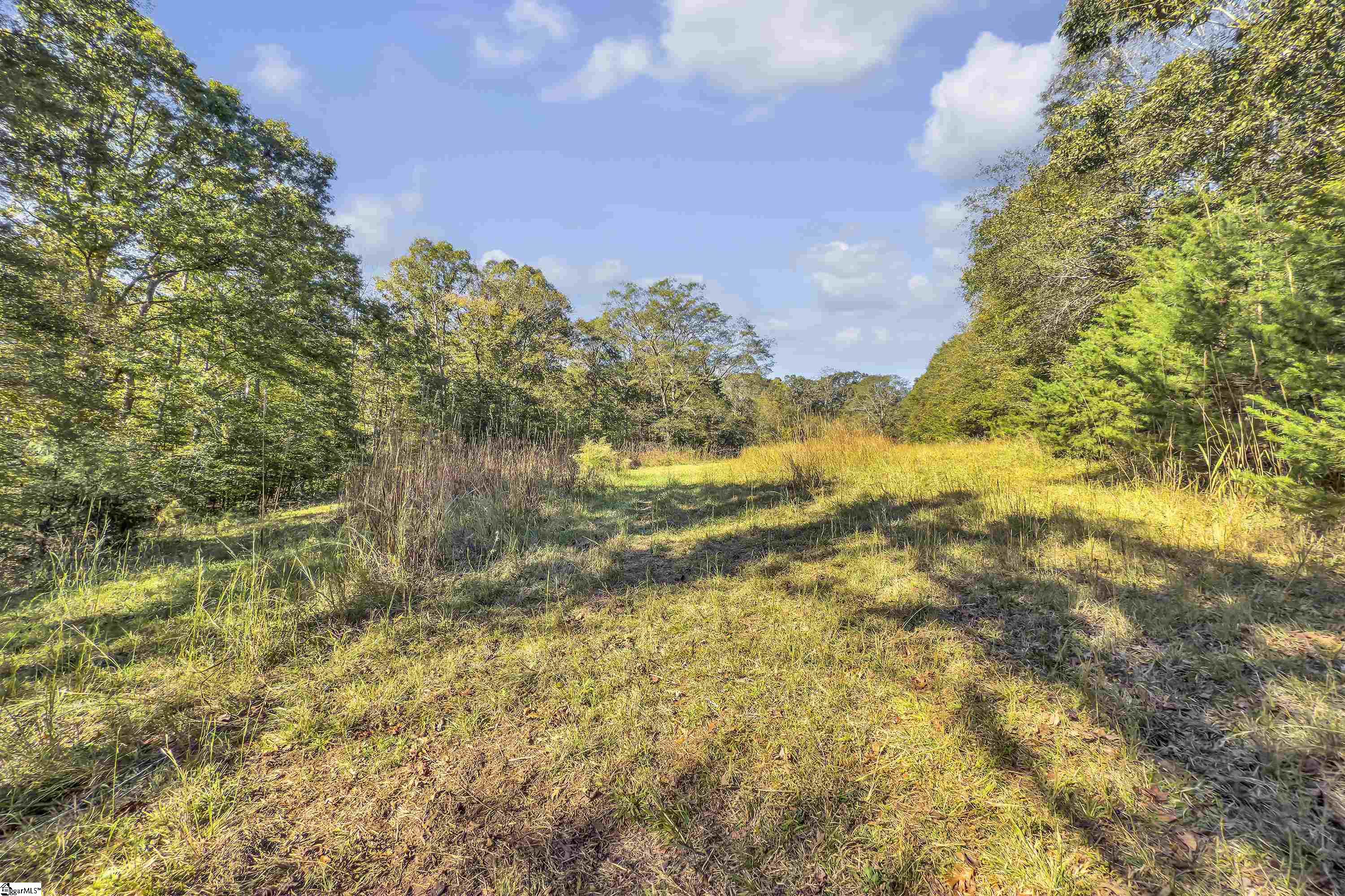 Old Converse Road, Spartanburg, South Carolina, 29301, United States, ,Land,For Sale,Old Converse Road,1647138