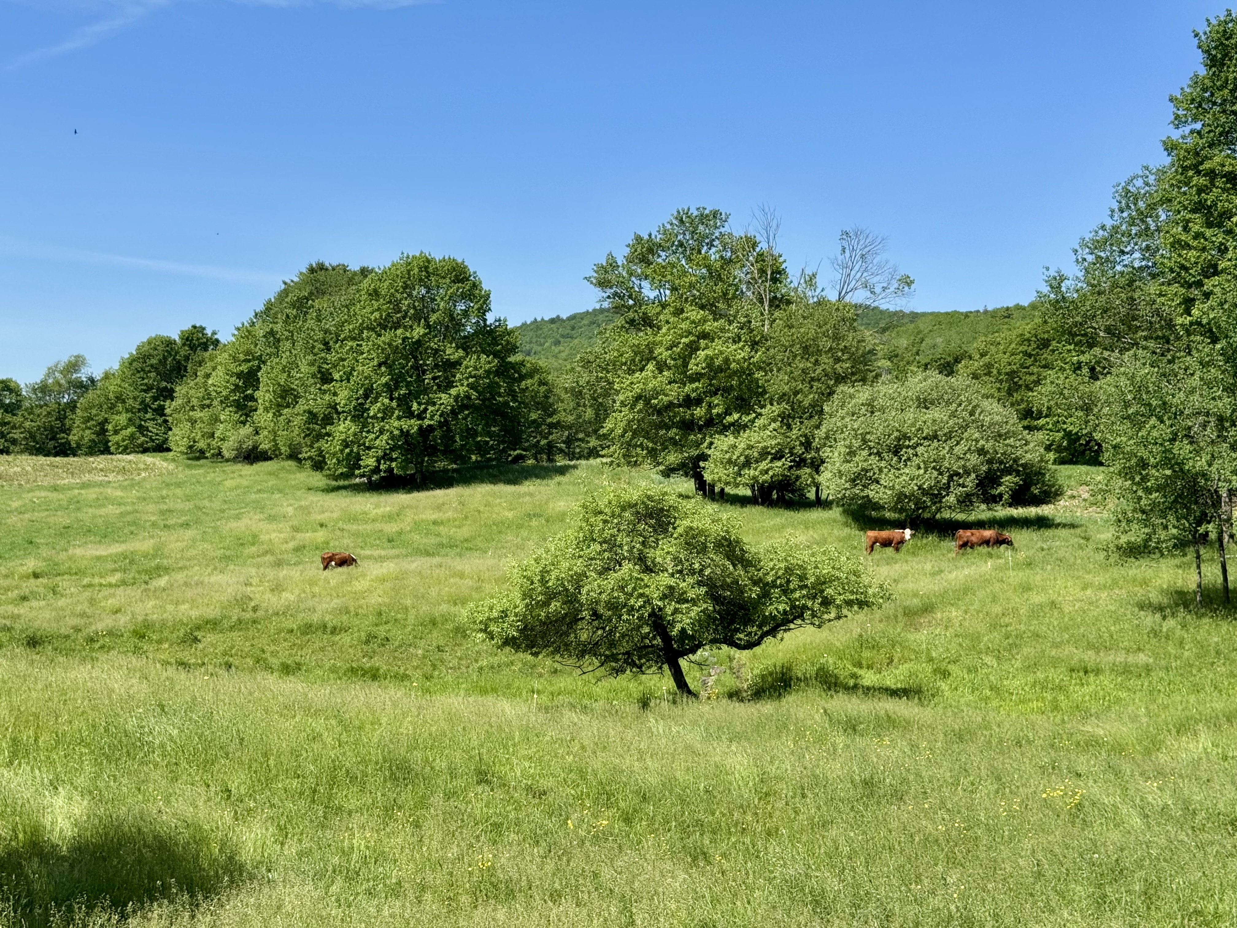  3517 Duck Pond Road - 物件實景