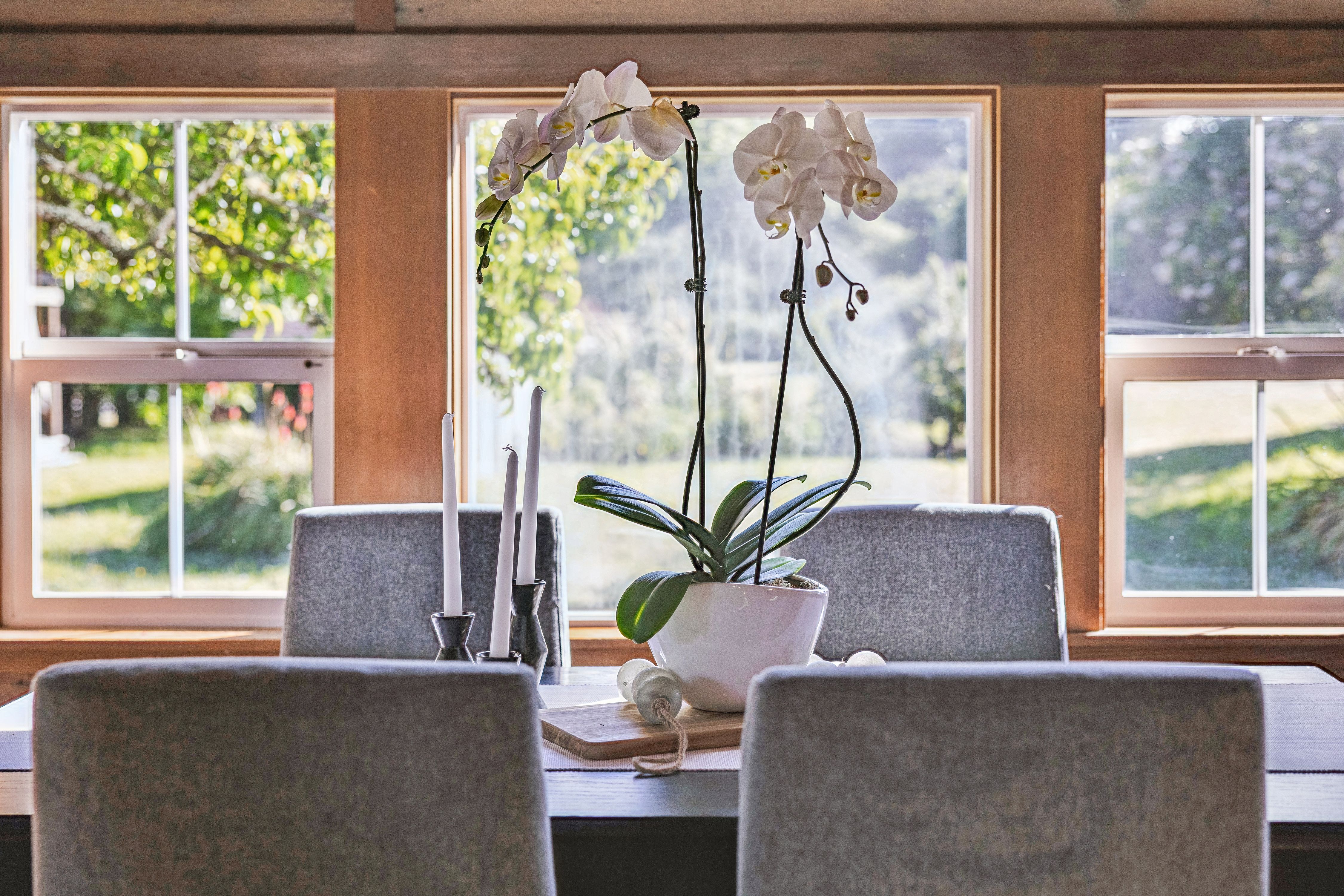  Bolinas Legend – Oldest Residence on Coastal Marin - 物件實景