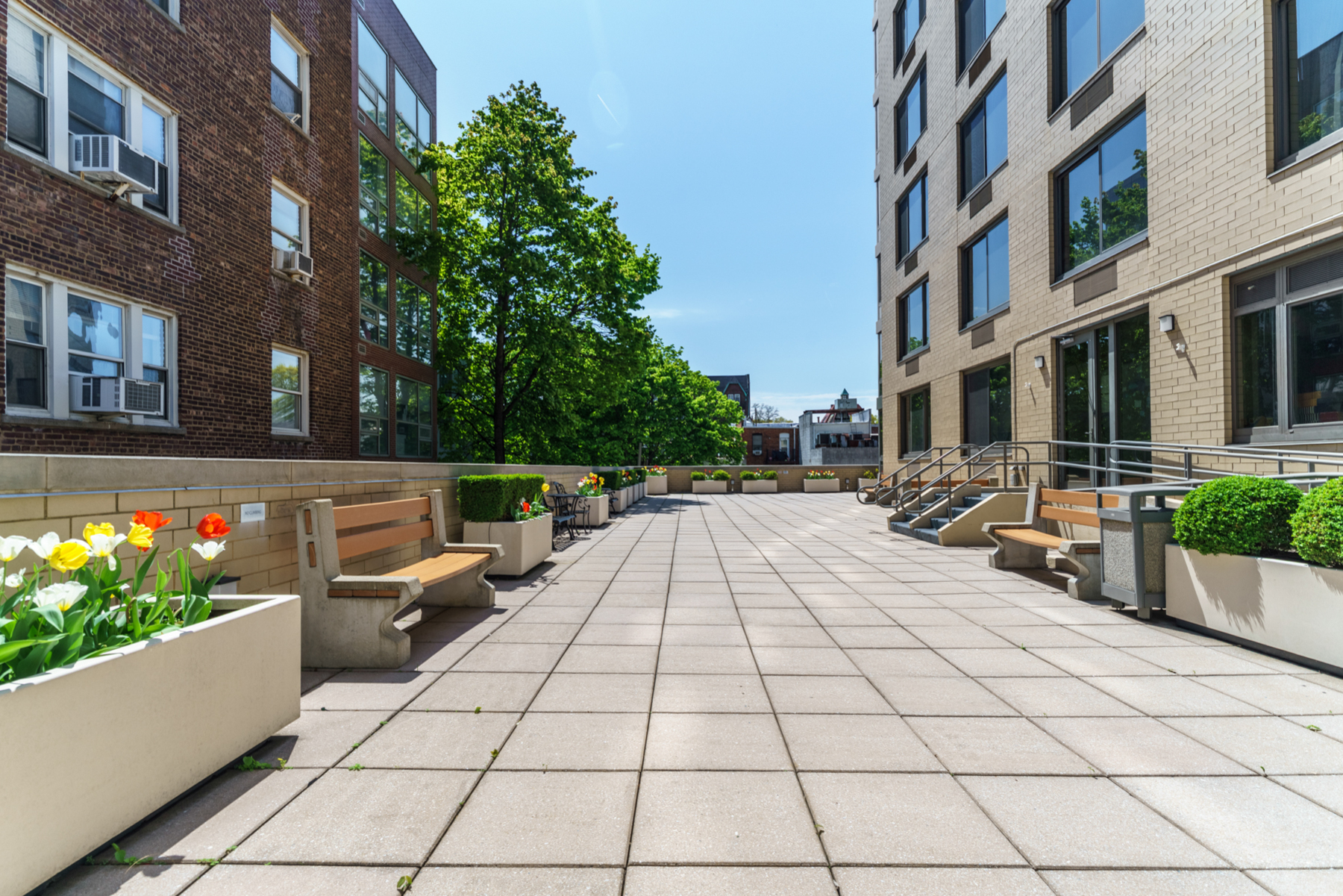  ?SUN DRENCHED TWO BEDROOM WITH FOREST HILLS GARDENS VIEWS? - 物件實景