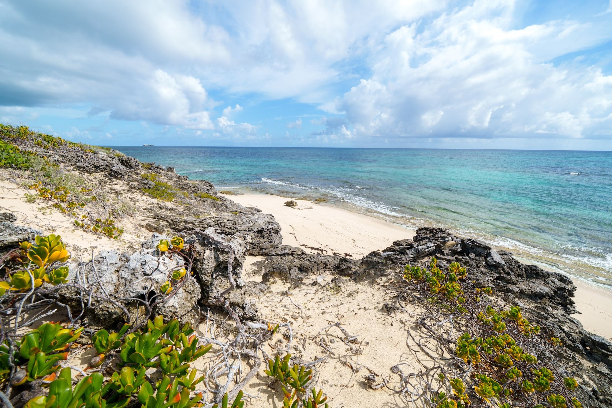  25.38 Acres Elizabeth Island - 物件實景