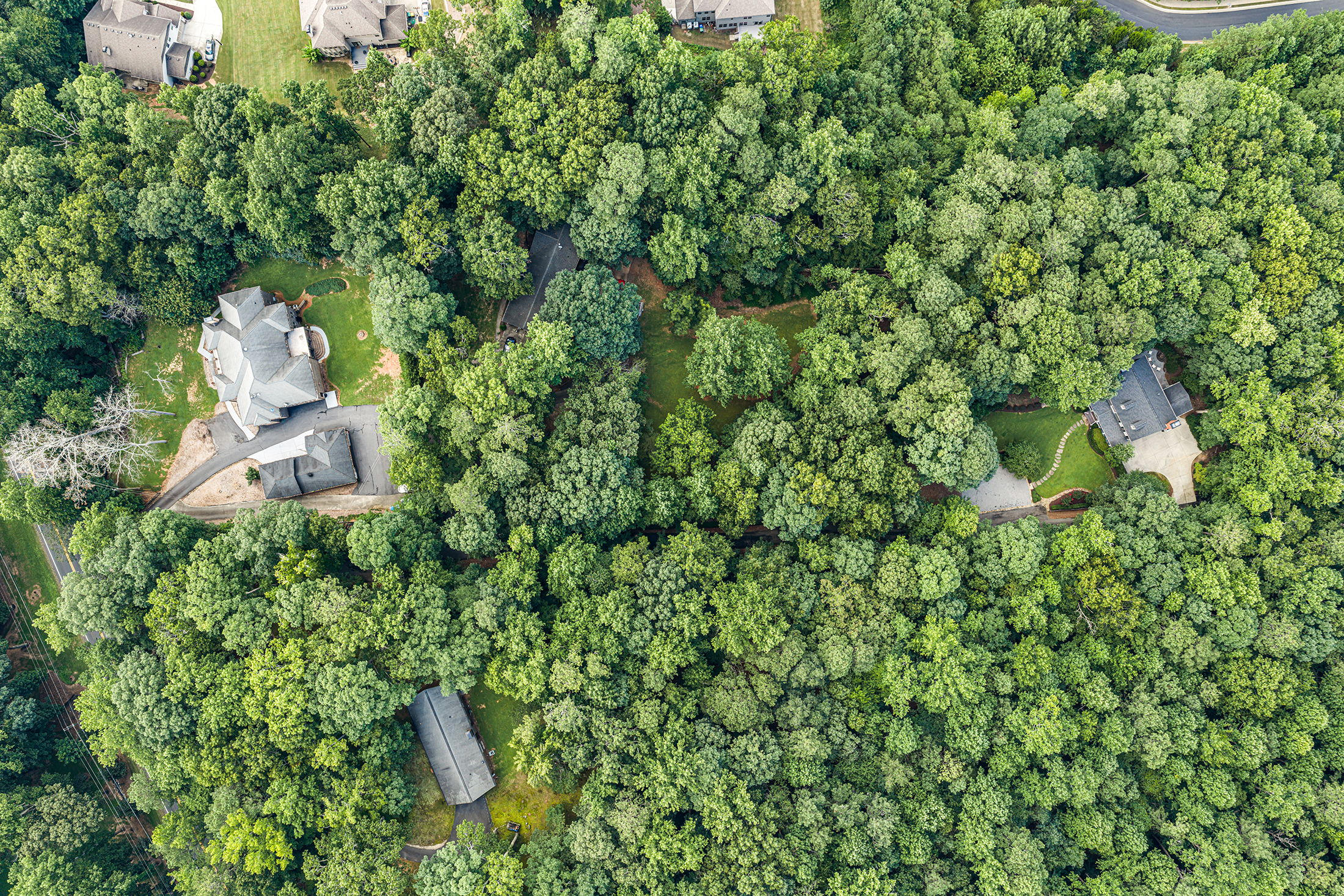  Home Offers a Serene, Wooded Escape Without Giving Up an Inch of Convenience - 物件實景