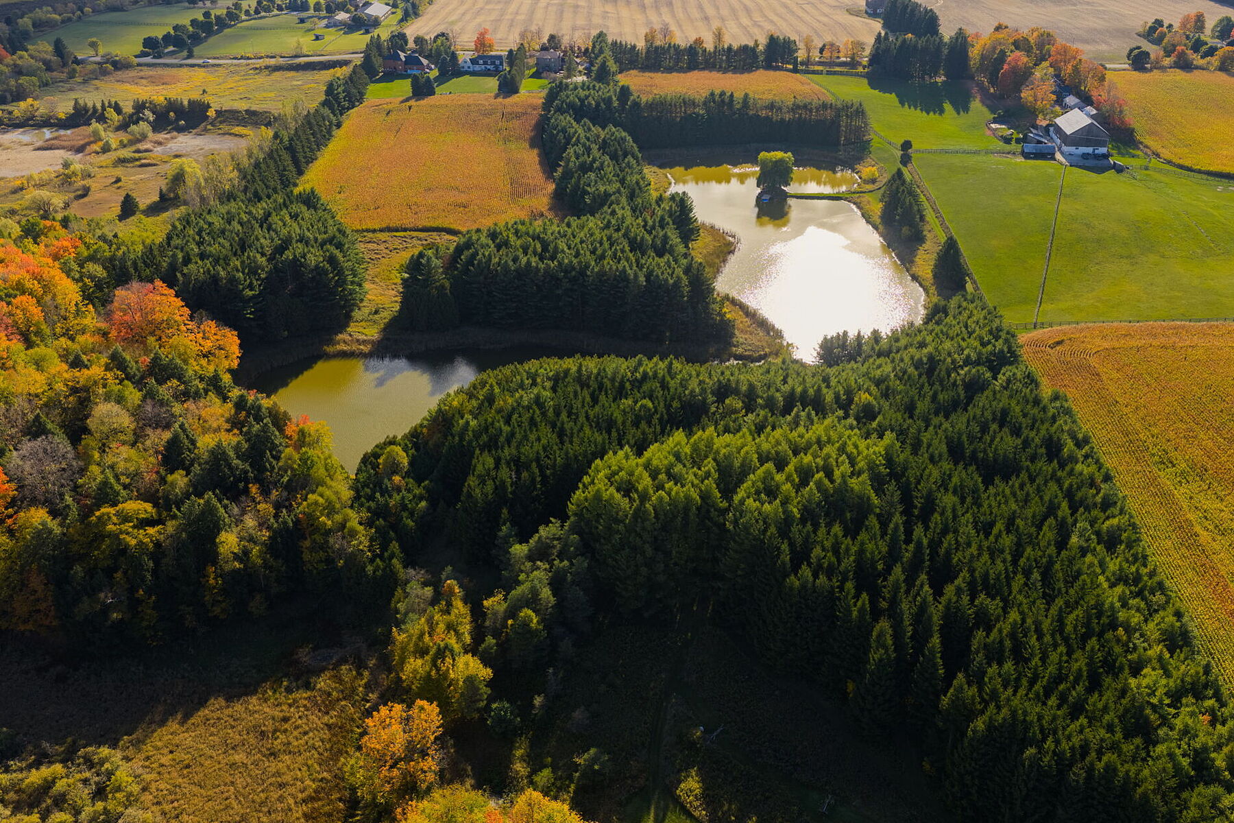  Country Living - 物件實景