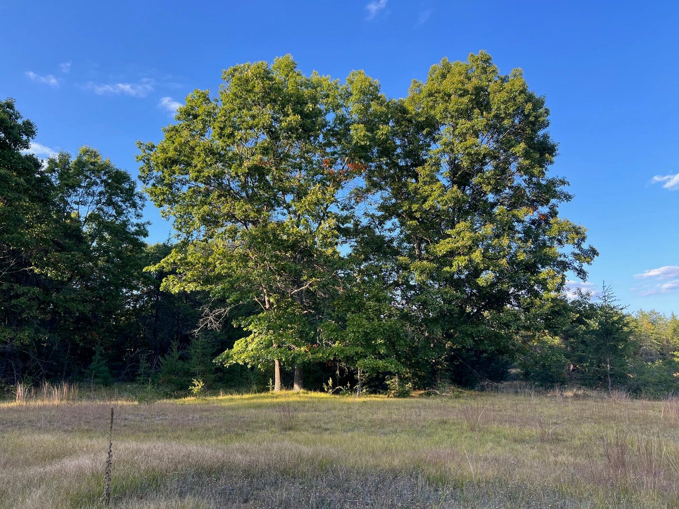 Baldwin, Michigan, 49304, United States, 3 Bedrooms Bedrooms, ,2 BathroomsBathrooms,Residential,For Sale,1990507