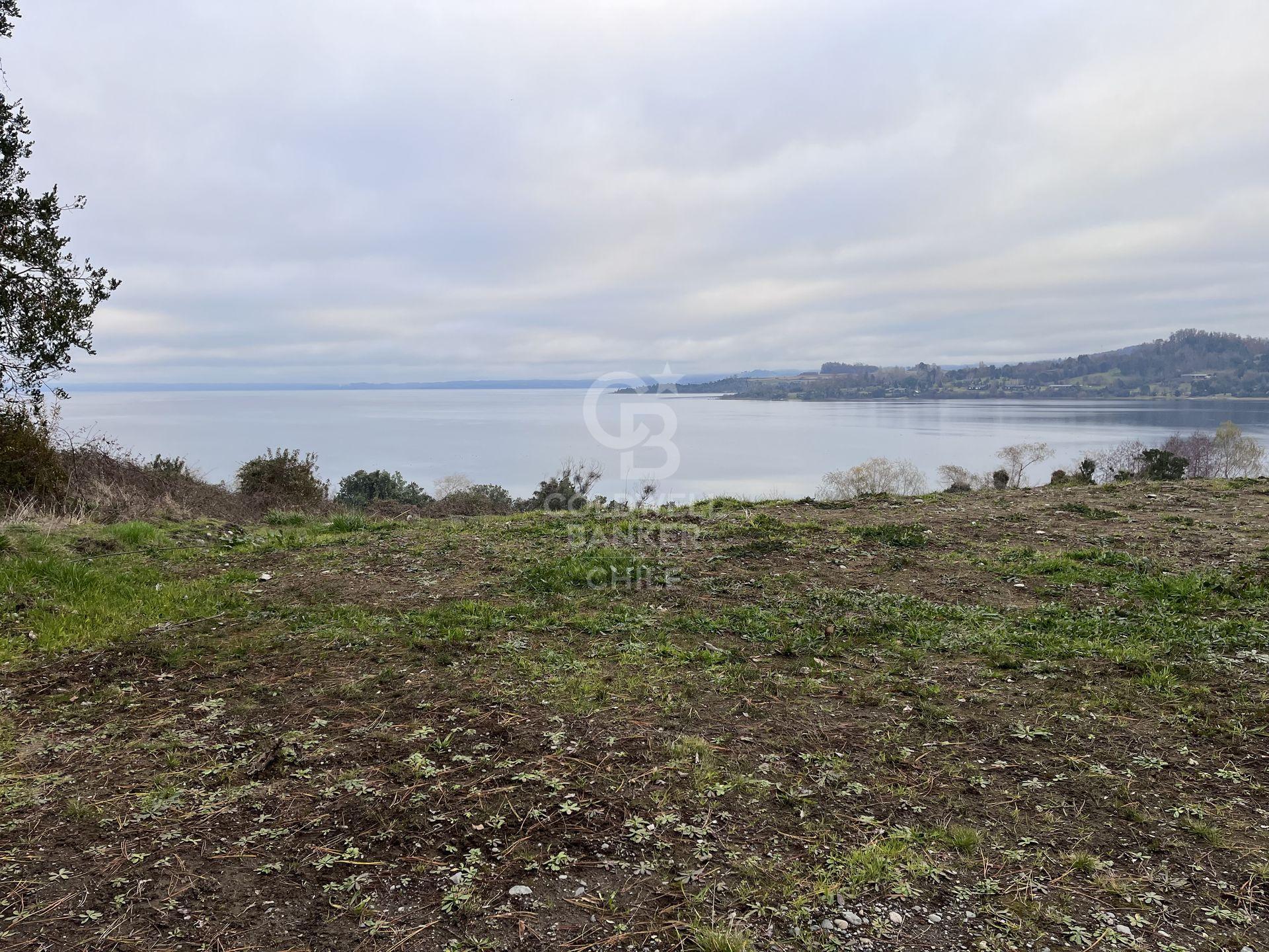 Futrono, Chile, ,Residential,For Sale,1919712