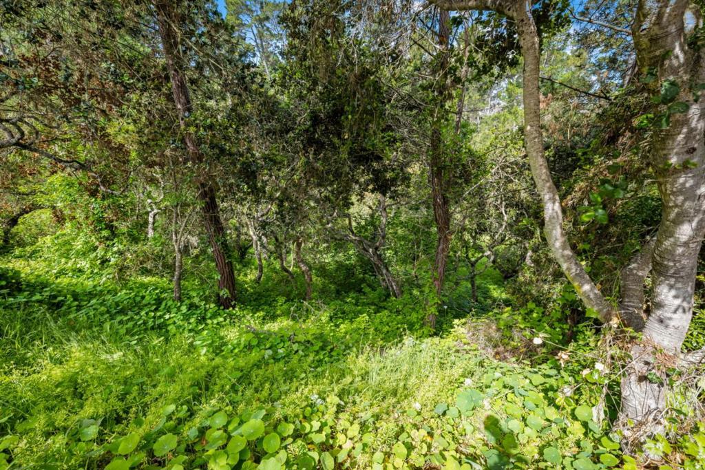 Monterey, California, 93940, United States, 3 Bedrooms Bedrooms, ,2 BathroomsBathrooms,Residential,For Sale,1975715