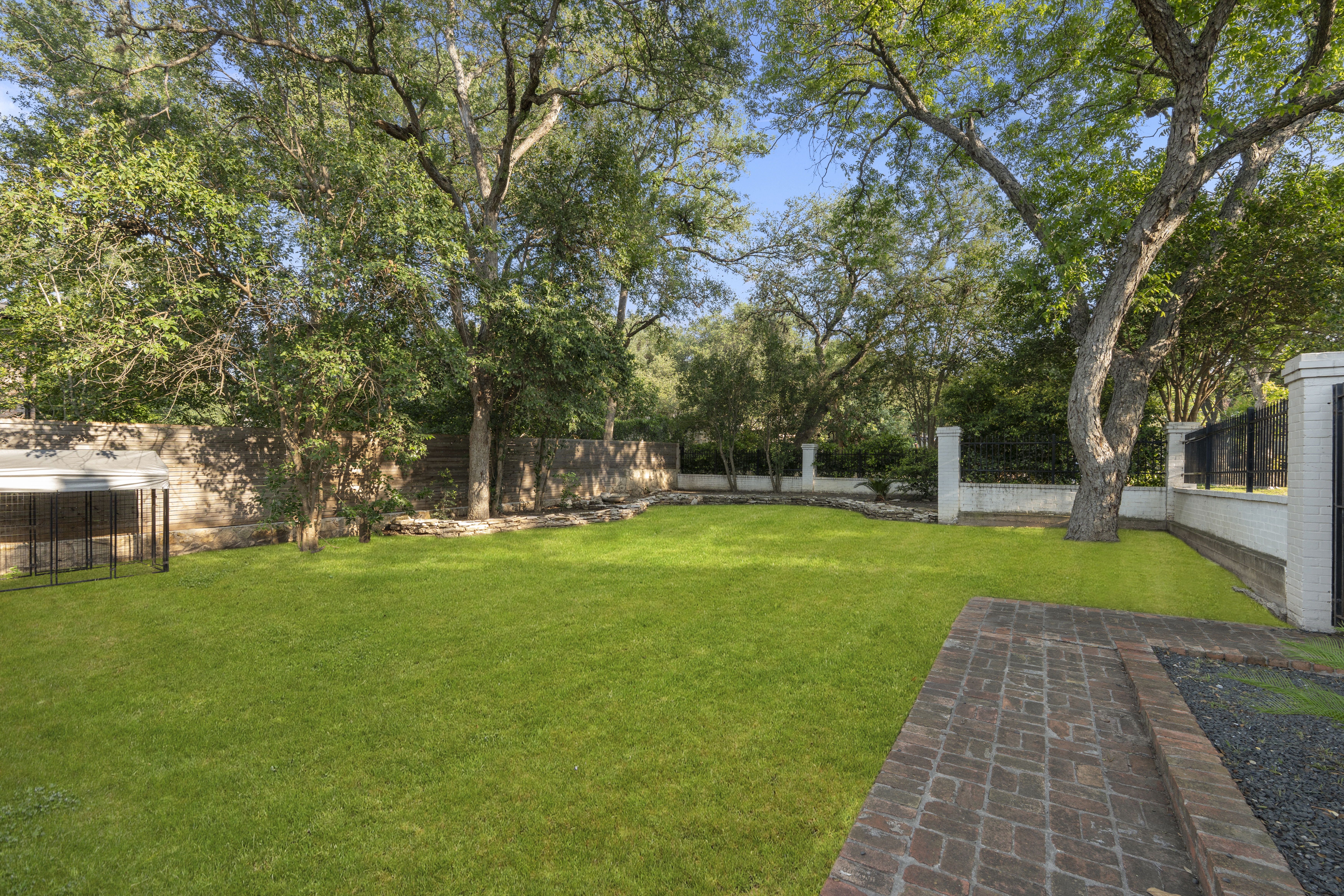  Classic Elegance in Olmos Park - 物件實景