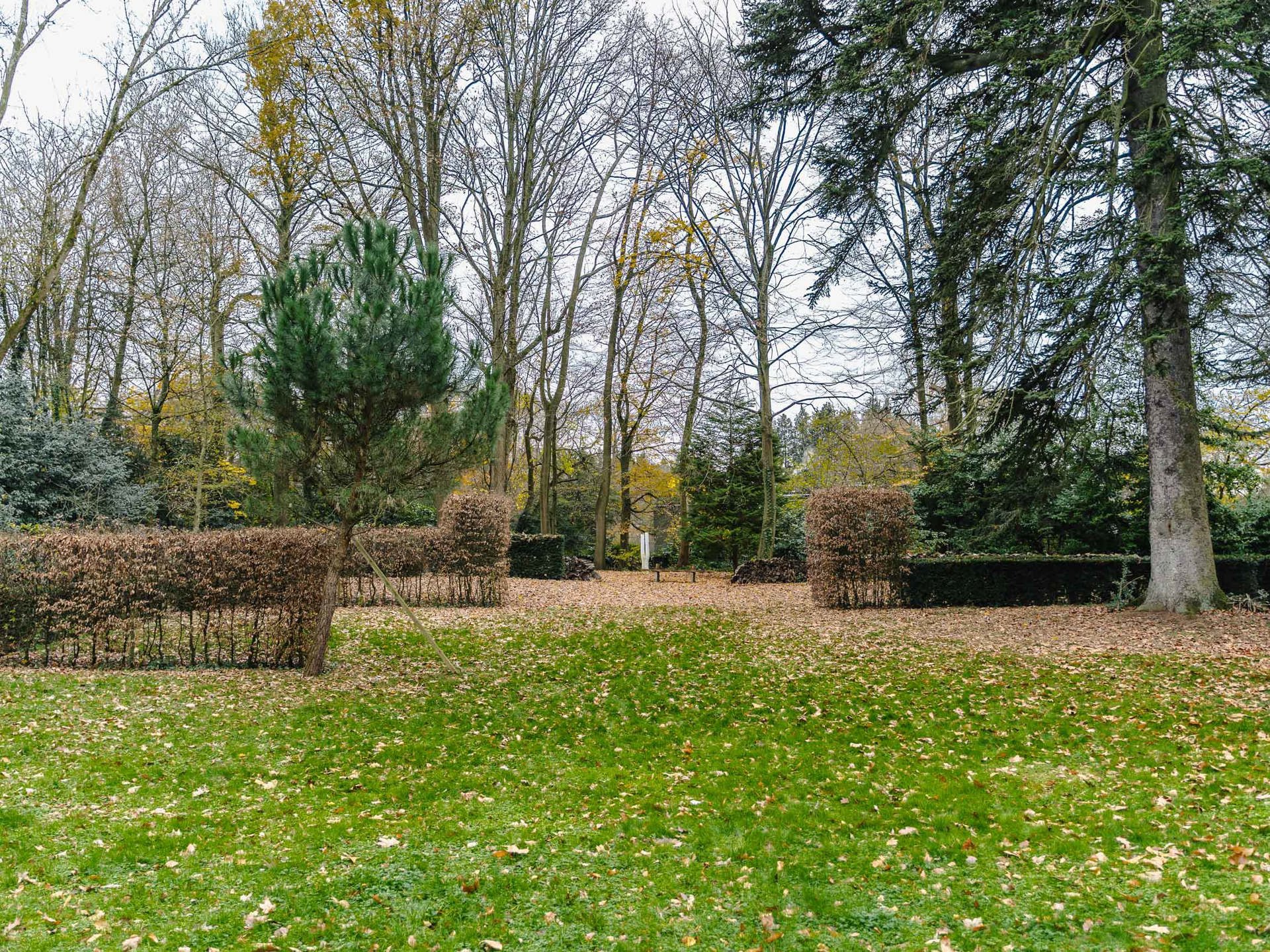  Rhode-Saint-Genèse I Prince d