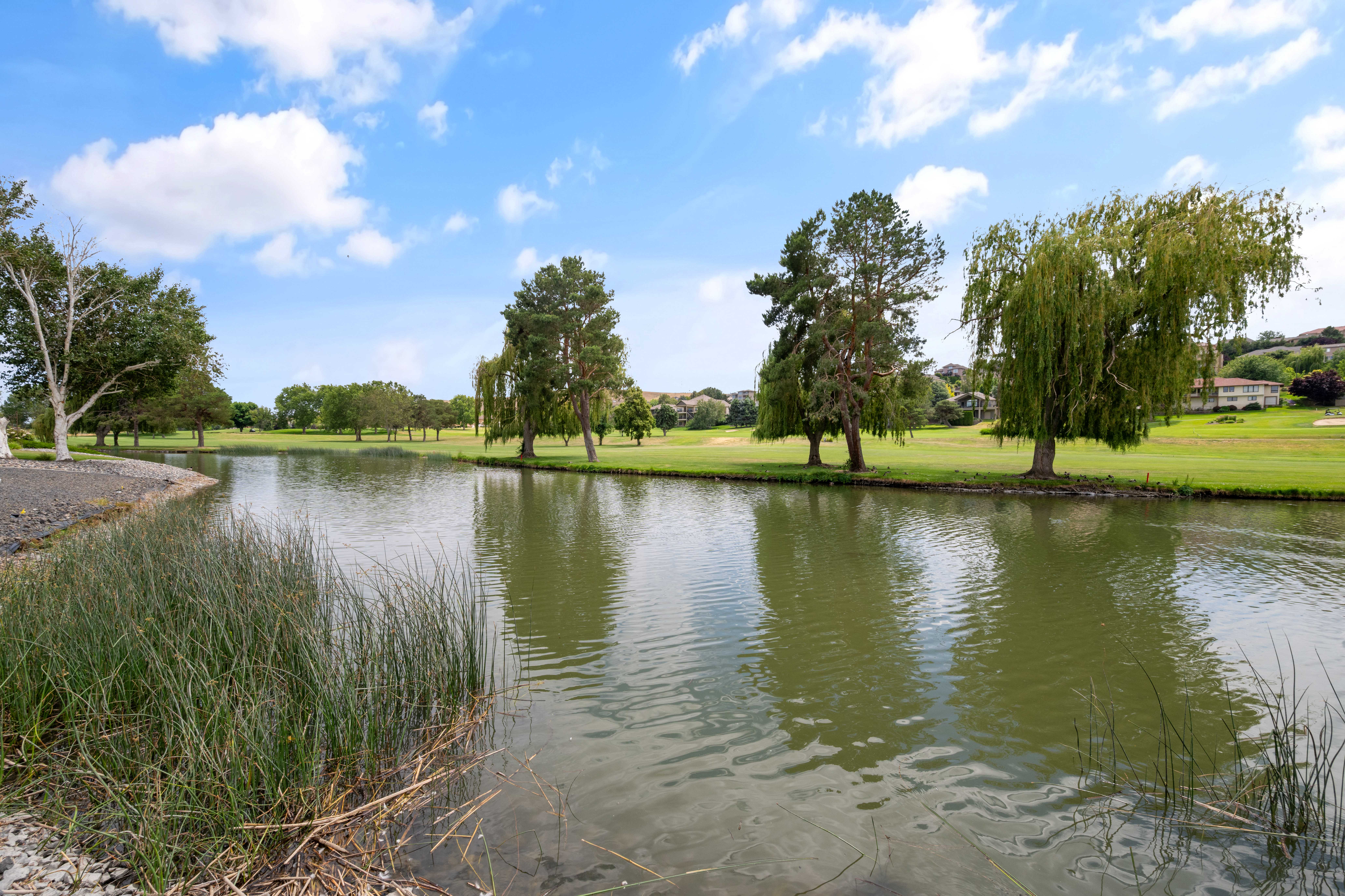  Single Level Waterfront Setting - 物件實景