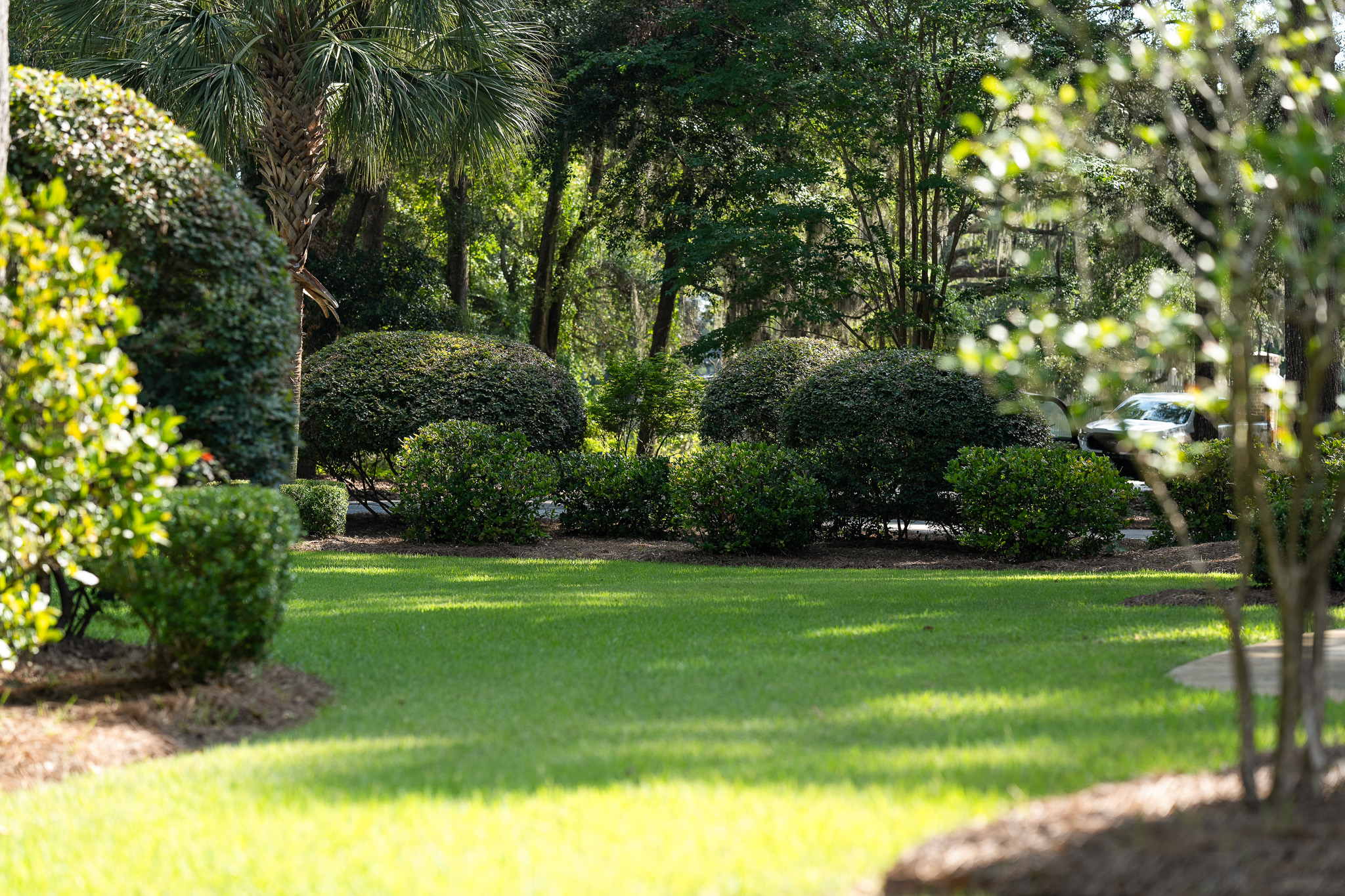  3305 Hopkinson Plantation Road - 物件實景