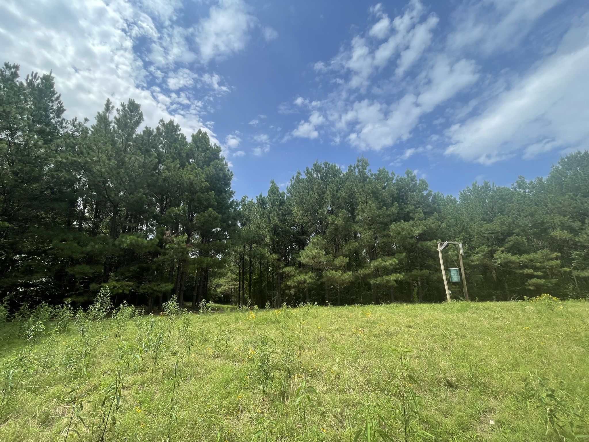 Cove, Arkansas, 71937, United States, 2 Bedrooms Bedrooms, ,Residential,For Sale,1938285