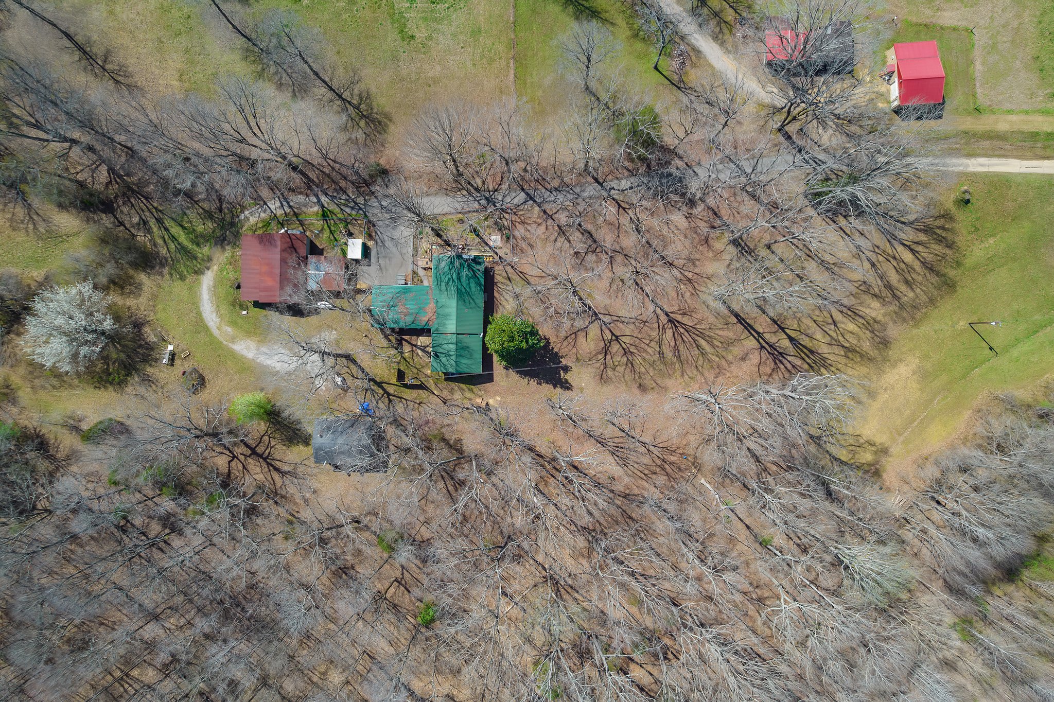 Beech Bluff, Tennessee, 38313, United States, 5 Bedrooms Bedrooms, ,3 BathroomsBathrooms,Residential,For Sale,1743753