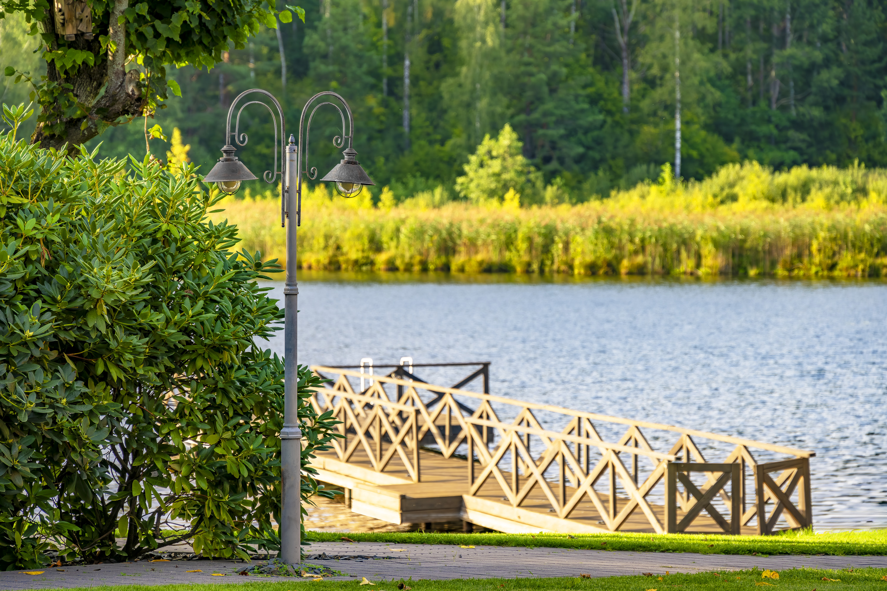  Romantic family homestead with a long lakeside - 物件實景