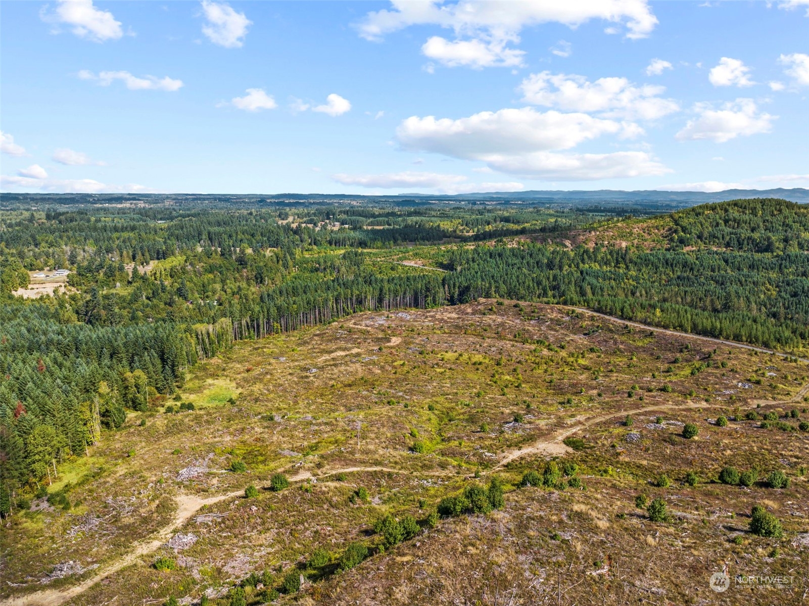 0 Salmon Creek Road, Toledo, Washington, 98591, United States, ,Land,For Sale,0 Salmon Creek Road,1445905