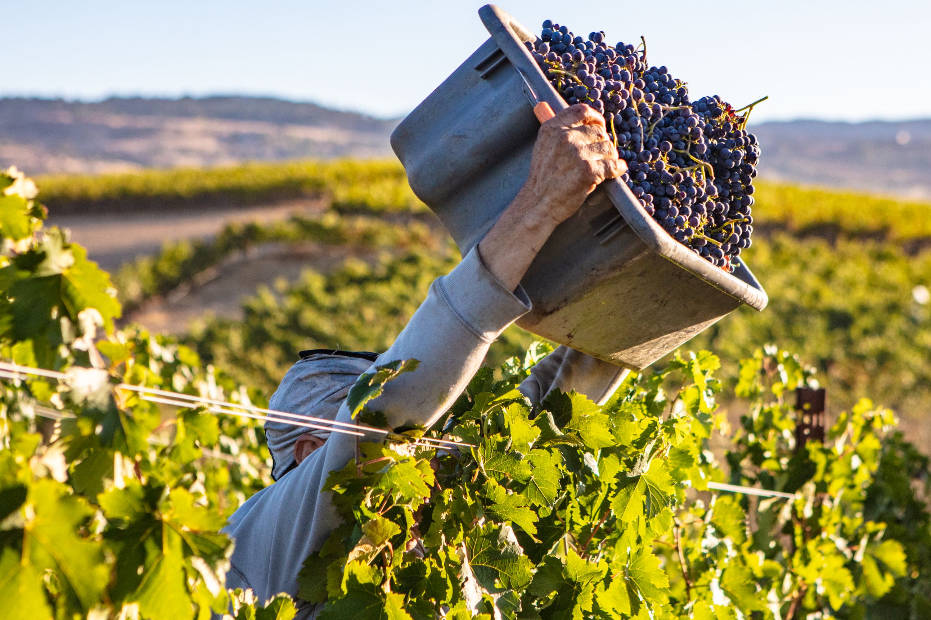  Krupp Brothers Estate - 物件實景