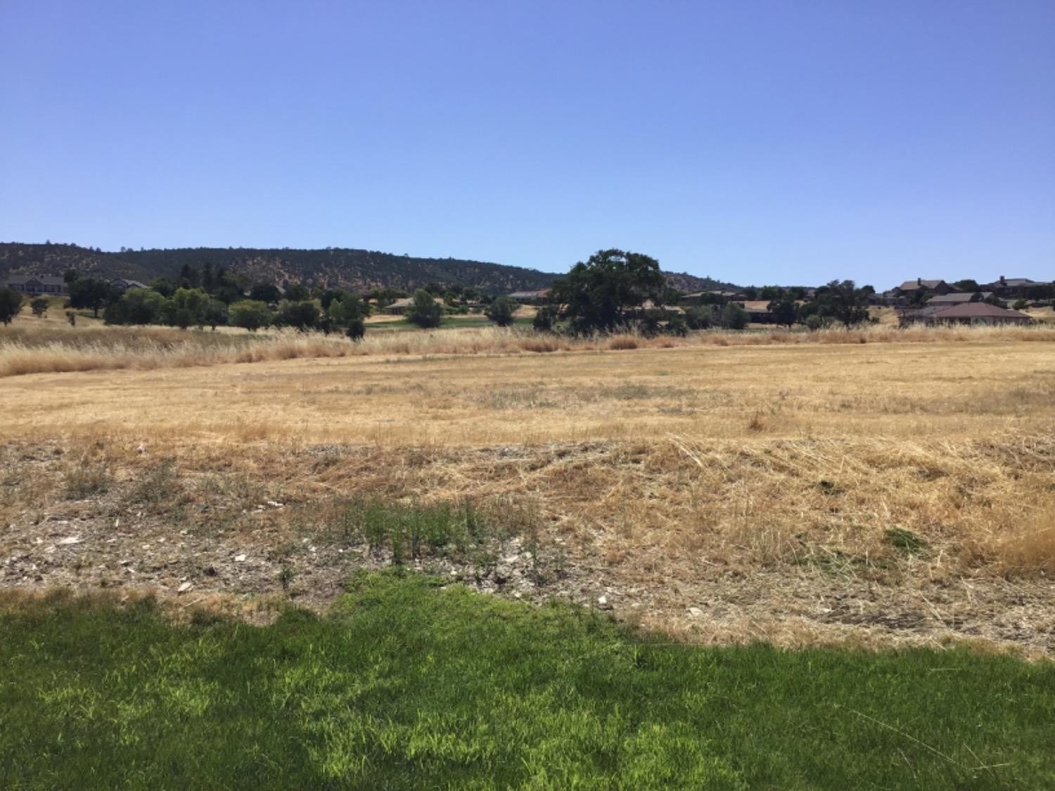 205 Quail Meadow Lane, Copperopolis, California, 95228, United States, 3 Bedrooms Bedrooms, ,3 BathroomsBathrooms,Residential,For Sale,205 Quail Meadow Lane,1664769