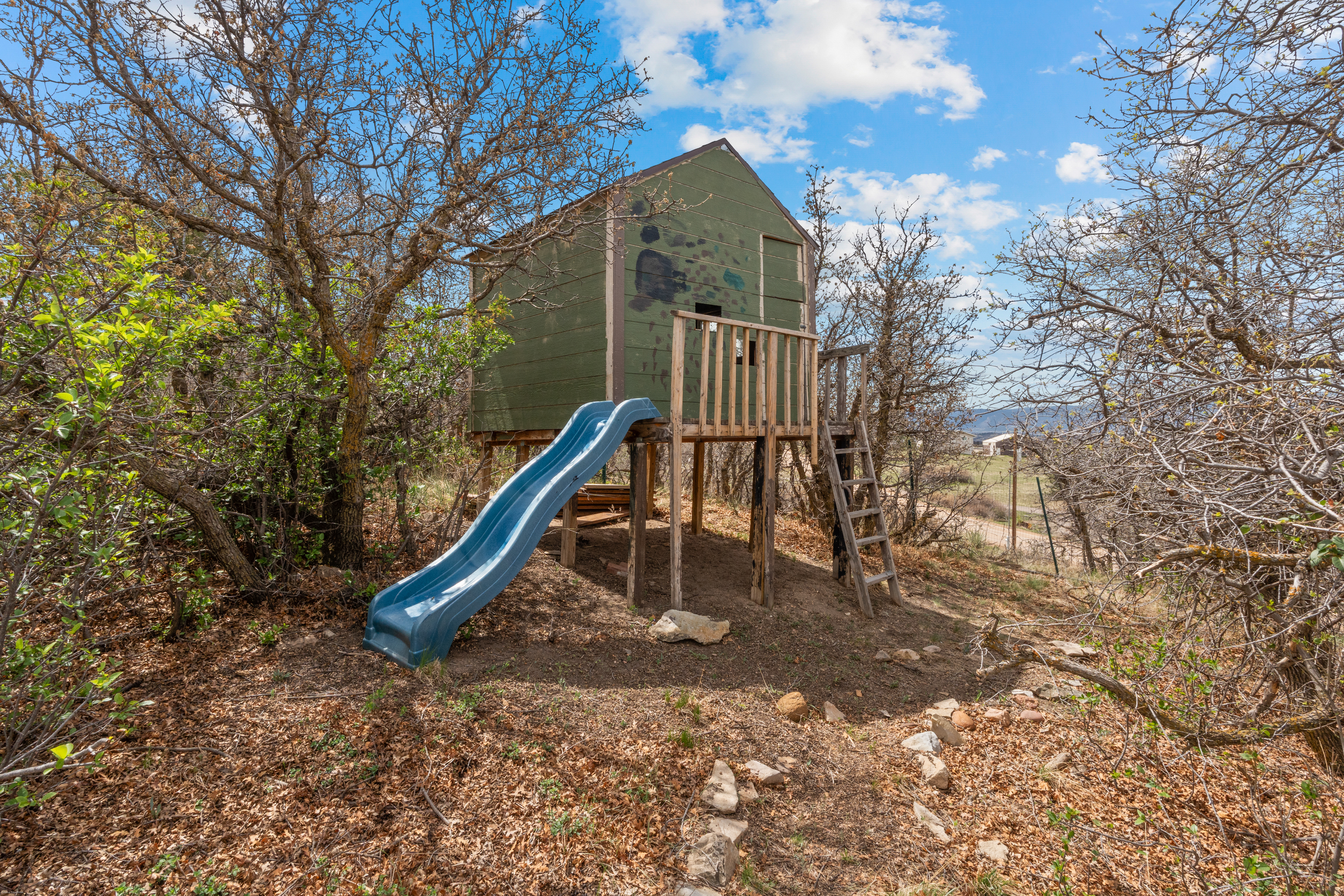  4.5 picturesque acres West of I-25 - 物件實景