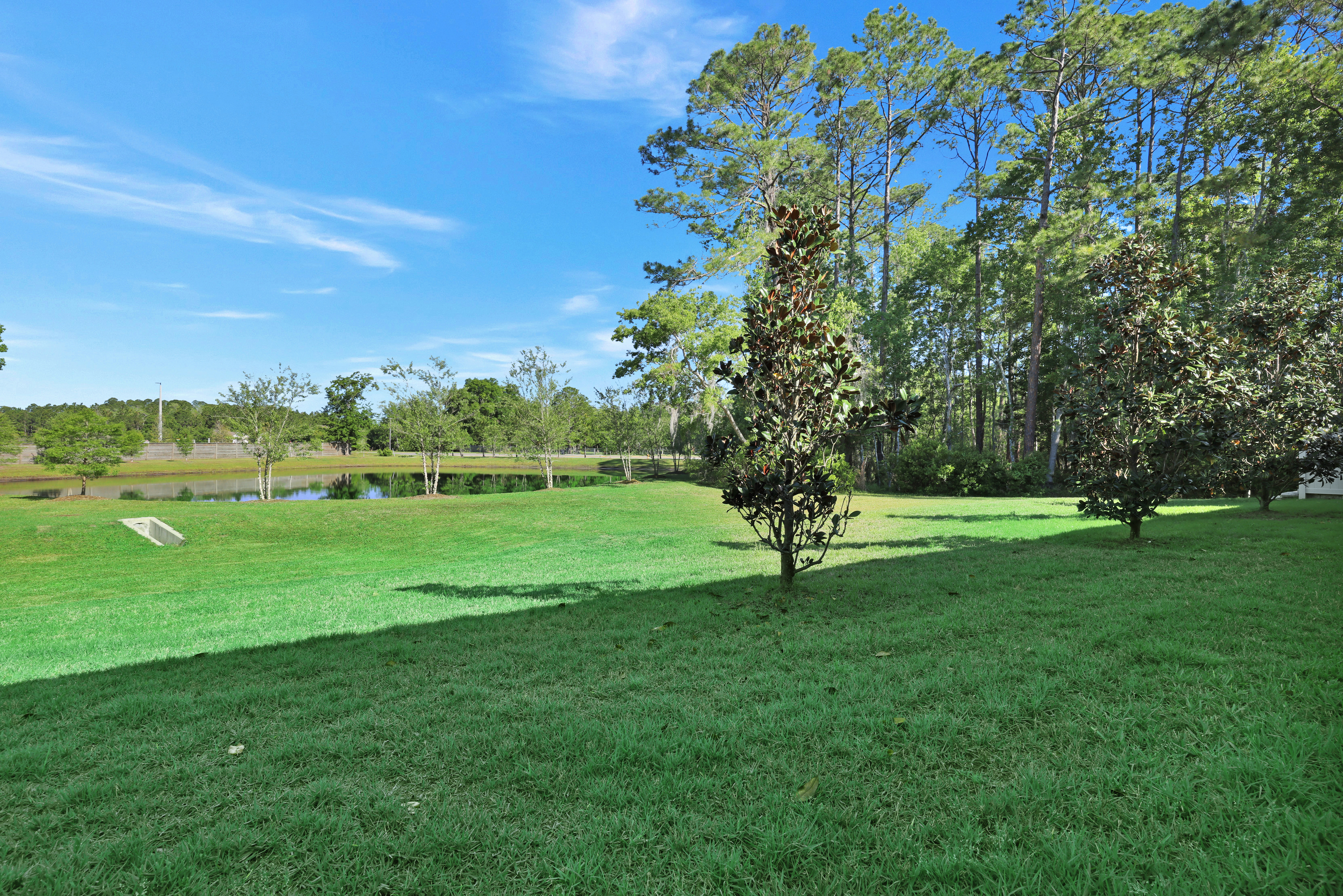  138 Mustard Hill Court, St. Augustine, FL, 32086 - 物件實景