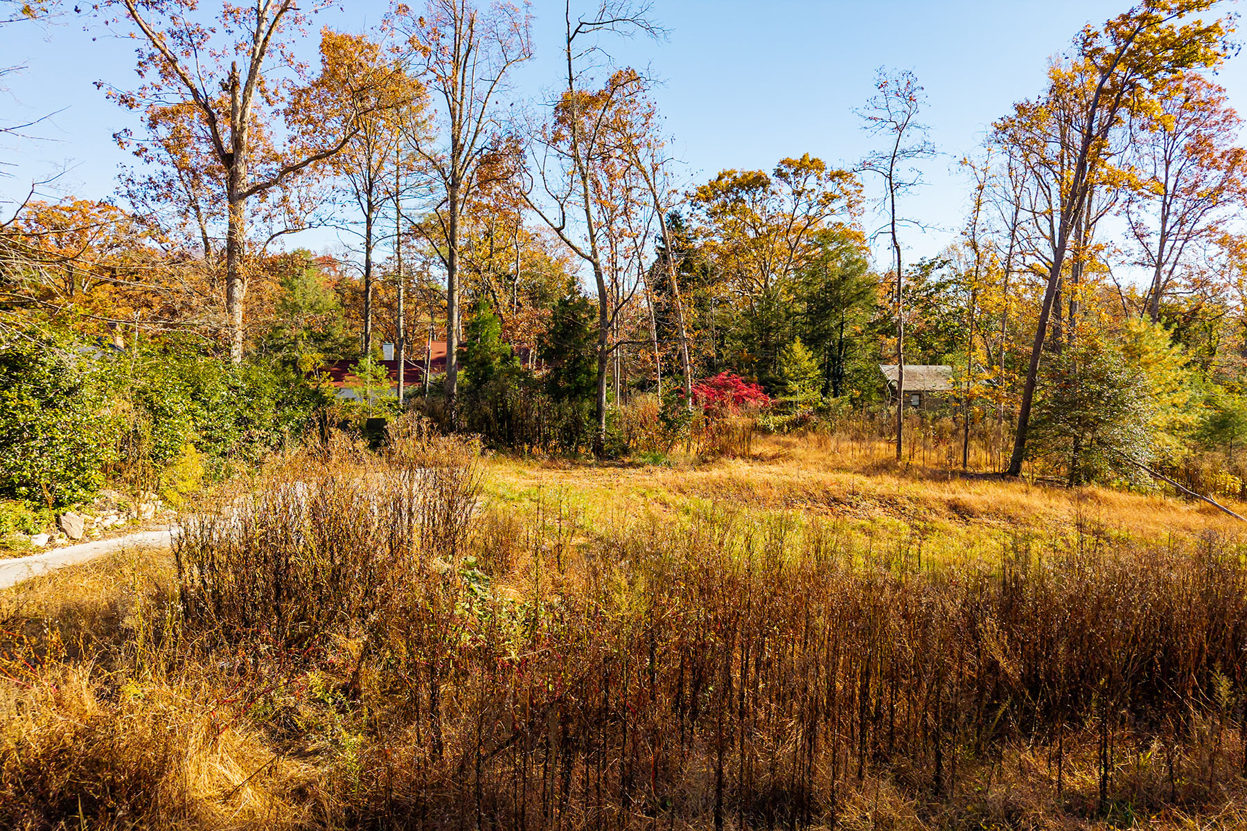  ASHEVILLE - 物件實景