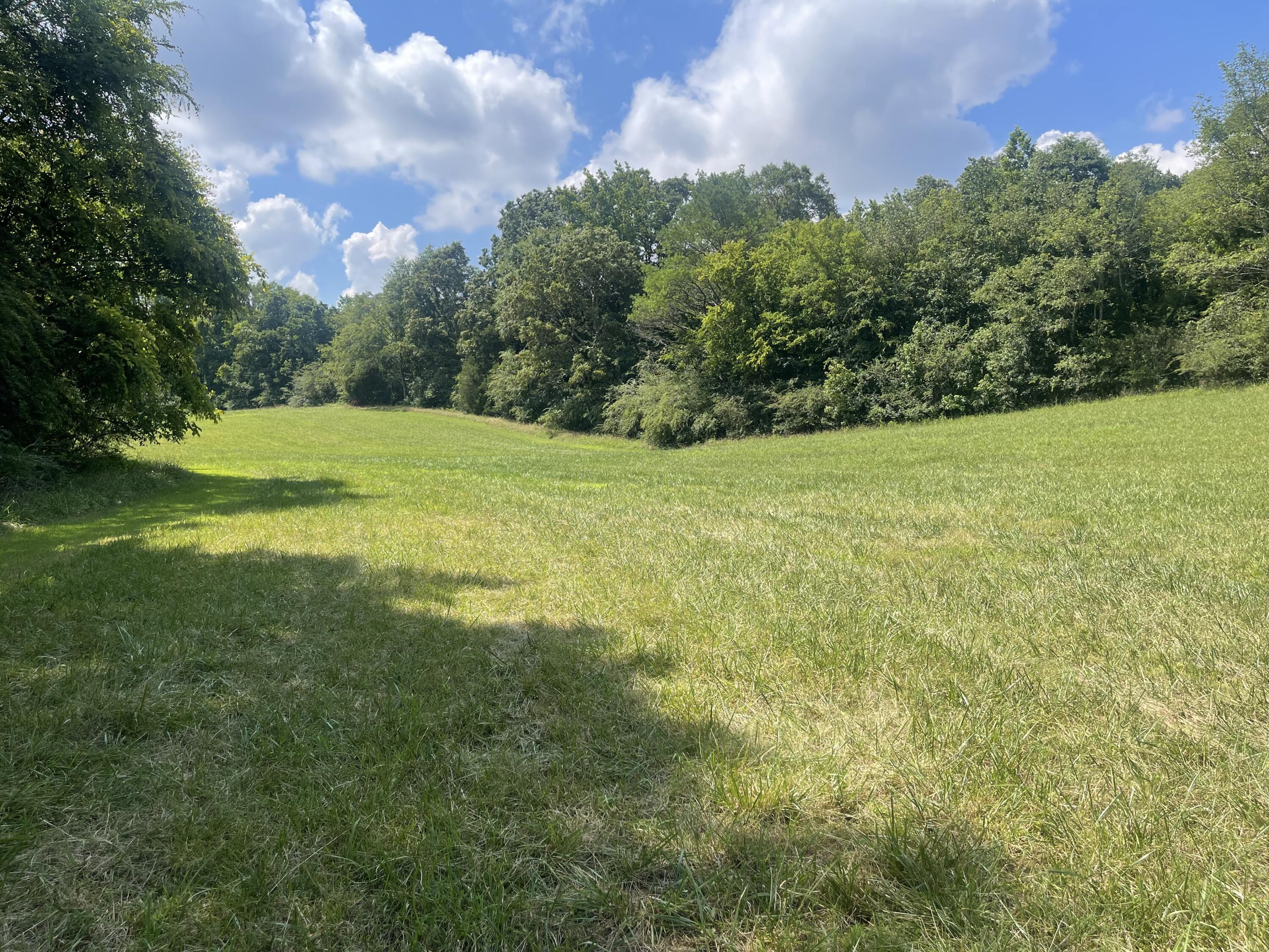 Bryant, Alabama, 35958, United States, ,Land,For Sale,1982684