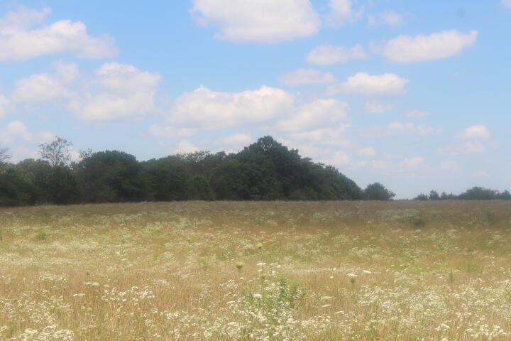 Polk, Missouri, 65727, United States, ,Land,For Sale,1980569