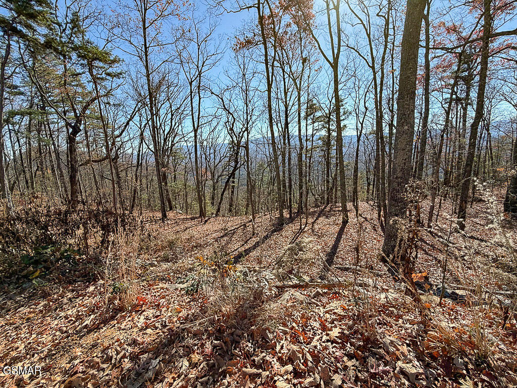 Sevierville, Tennessee, 37876, United States, ,Land,For Sale,2008093