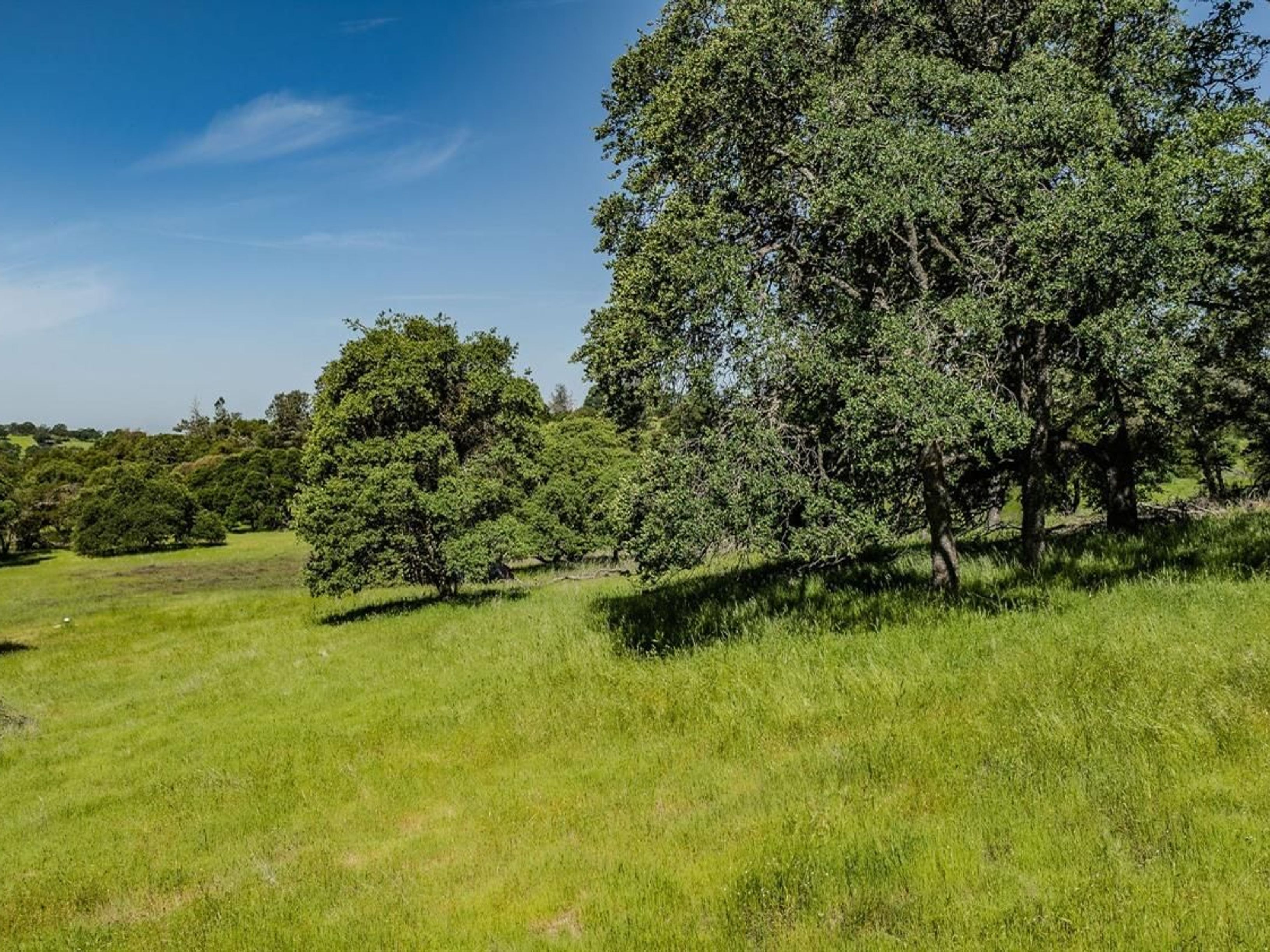  10865 Sunset Drive, Sutter Creek, CA 95685 - 物件實景