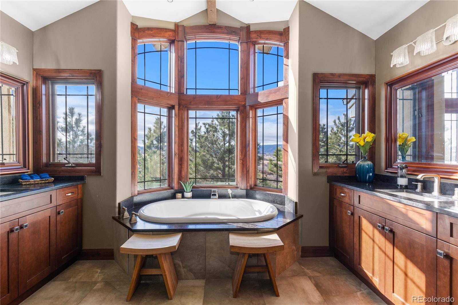 Castle Rock, Colorado, 80109, United States, 4 Bedrooms Bedrooms, ,4 BathroomsBathrooms,Residential,For Sale,2000422