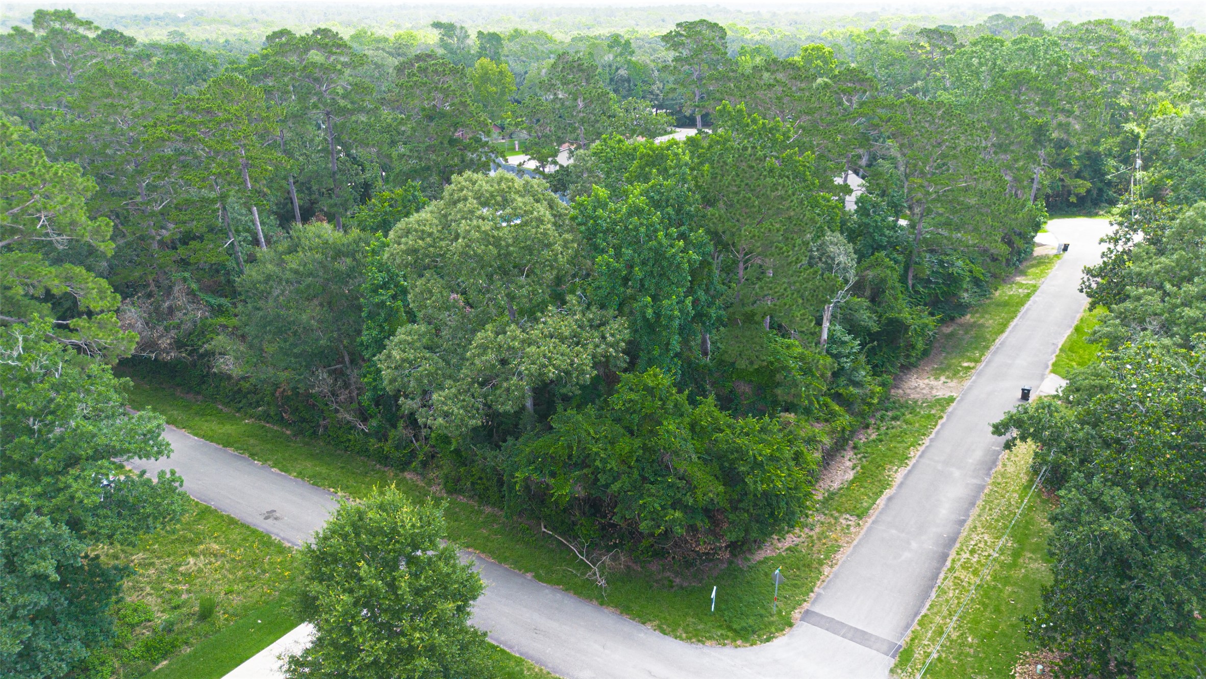 2407 Decatur Court - 物件實景