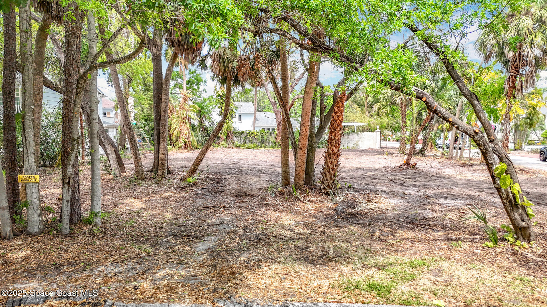Tampa, Florida, 33629, United States, ,Land,For Sale,1751522