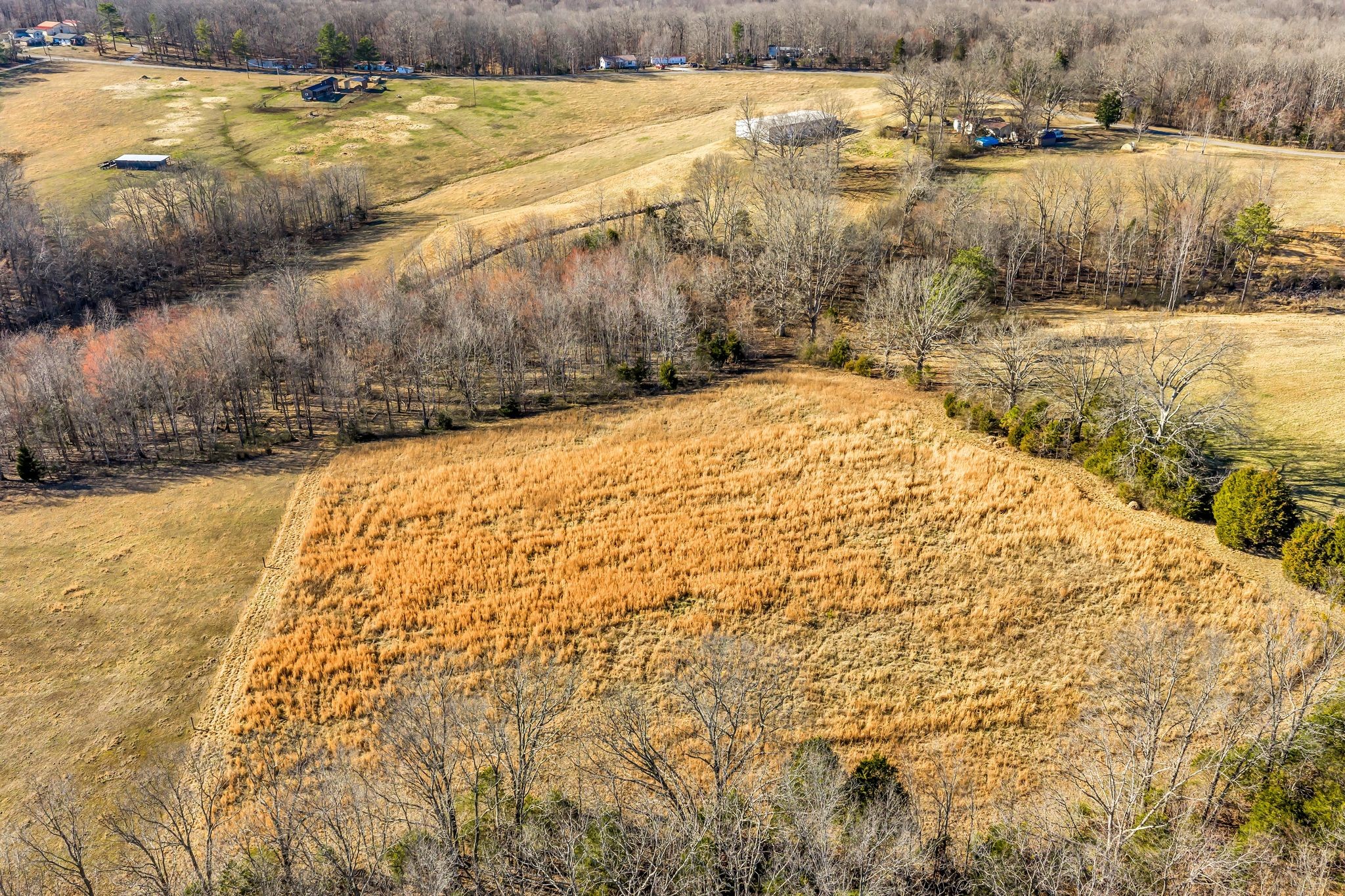  2340 Ridge Road, McEwen, TN 37101 - 物件實景