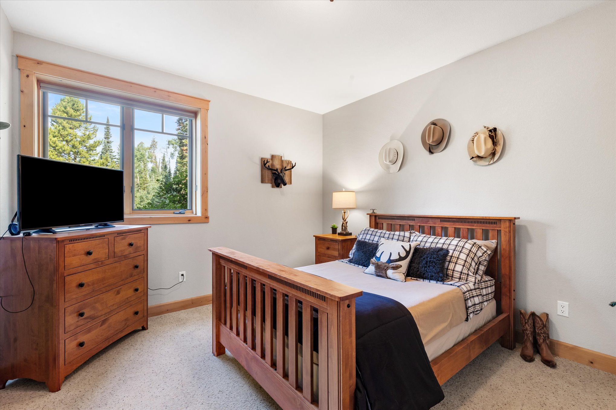  6.28-Acre North Routt Retreat - 物件實景