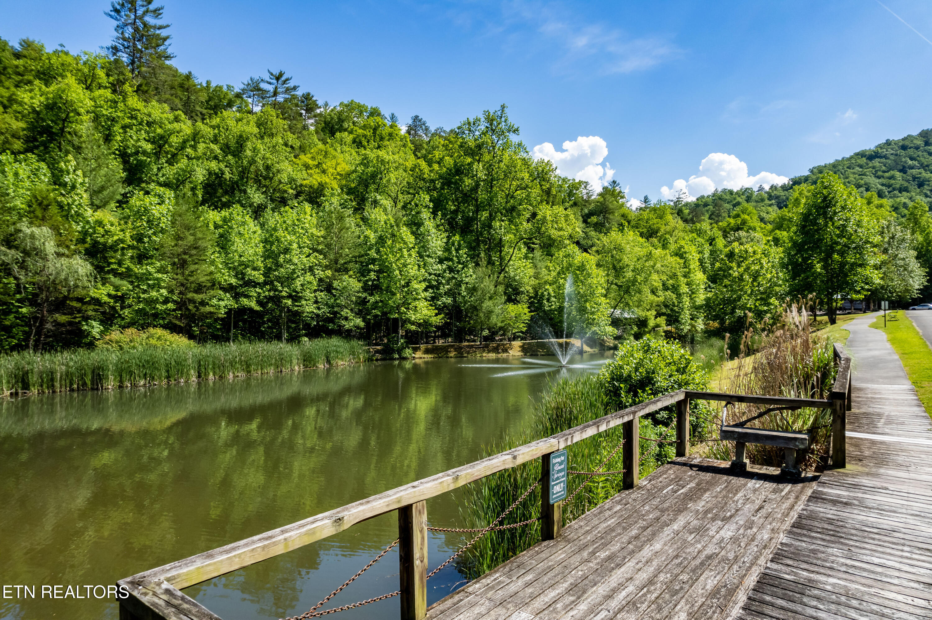 Townsend, Tennessee, 37882, United States, ,Land,For Sale,1982643