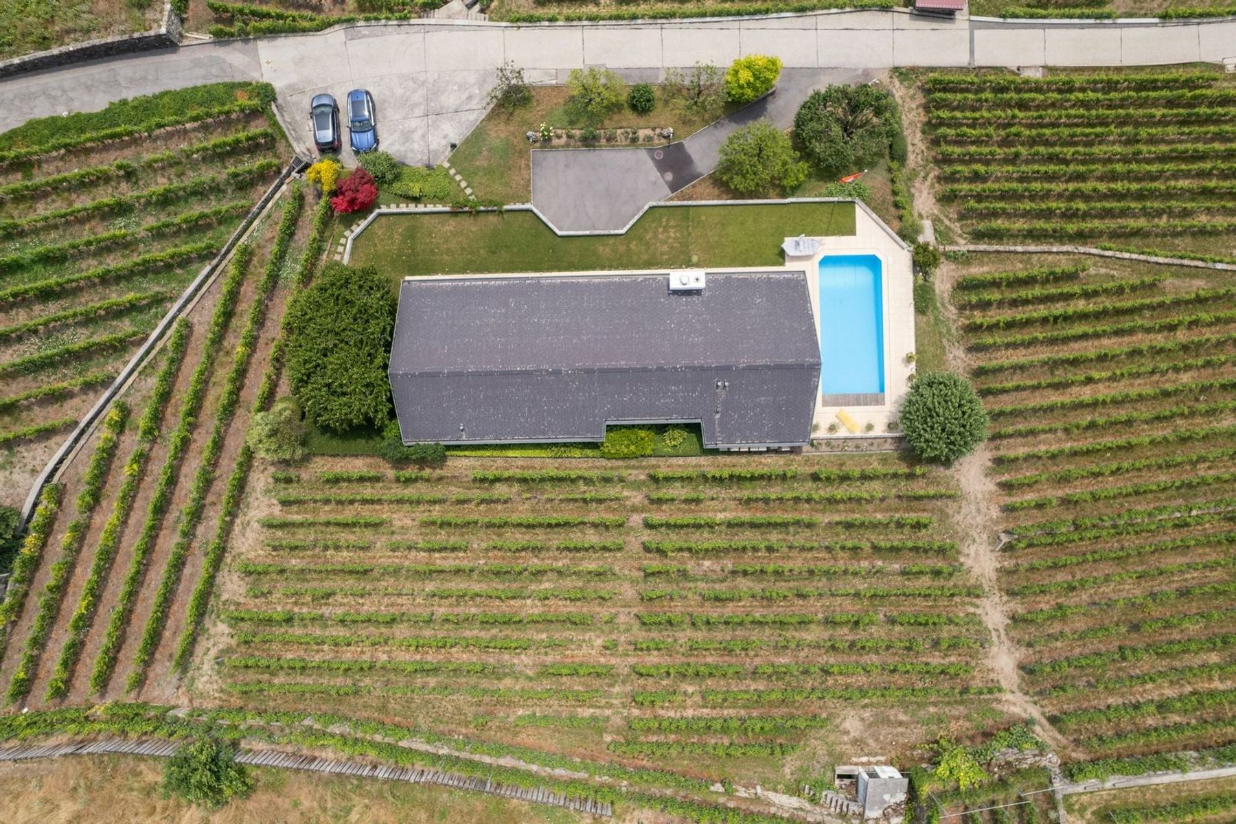  Between the green of the vines and the blue of the lake - 物件實景