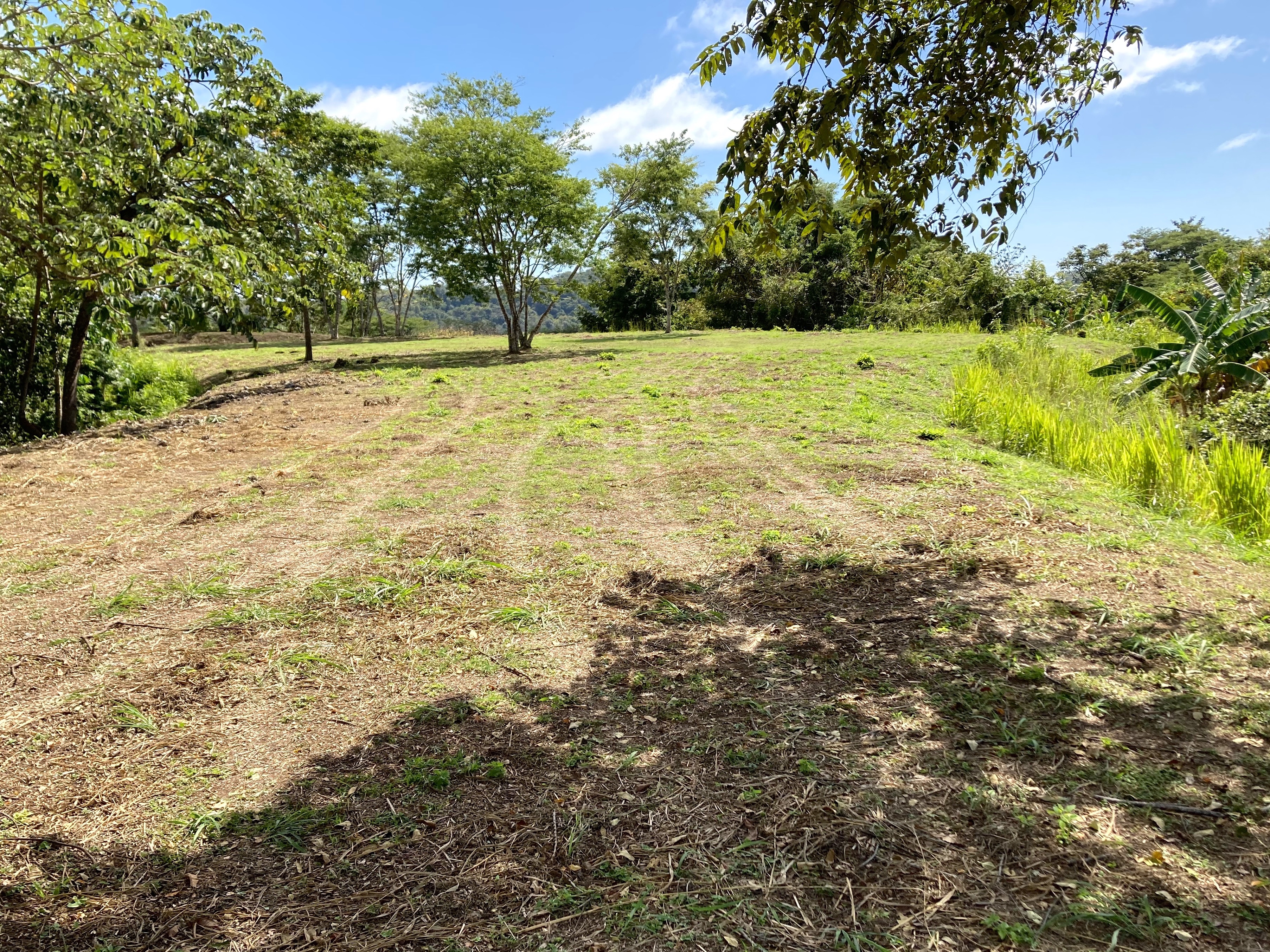 Samara, Samara, Guanacaste, CR, ,Land,For Sale,Samara,1612464