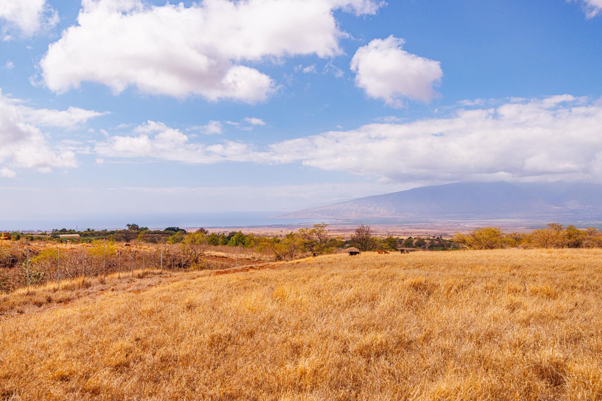 Kula, Hawaii, 96790, United States, 2 Bedrooms Bedrooms, ,2 BathroomsBathrooms,Residential,For Sale,1990288