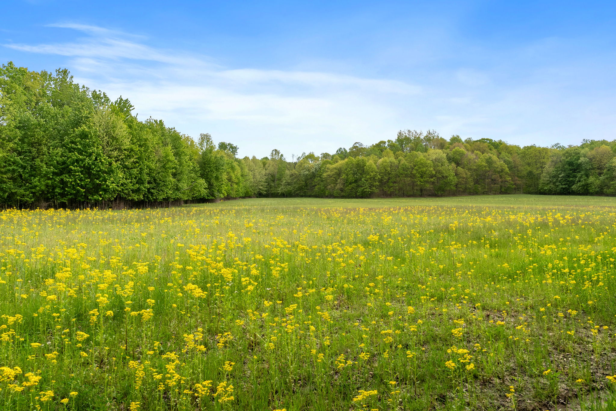 Rosedale, Indiana, 47874, United States, ,Land,For Sale,2049036