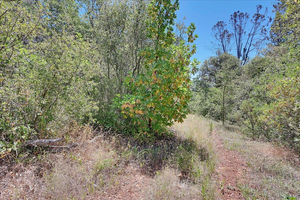 Oregon House, California, 95962, United States, ,Land,For Sale,1975767