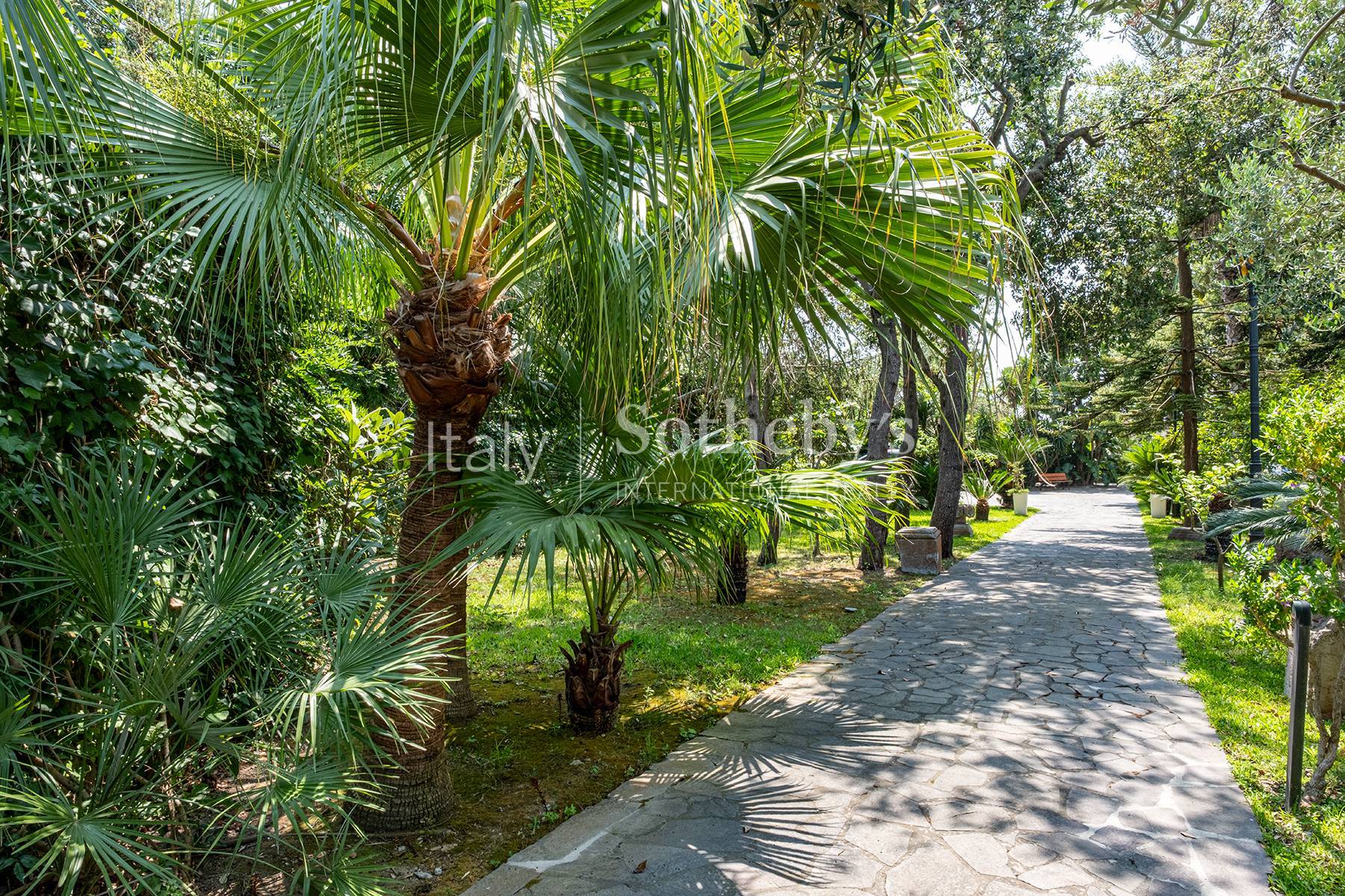  Charming seafront villa in Punta Caruso - 物件實景