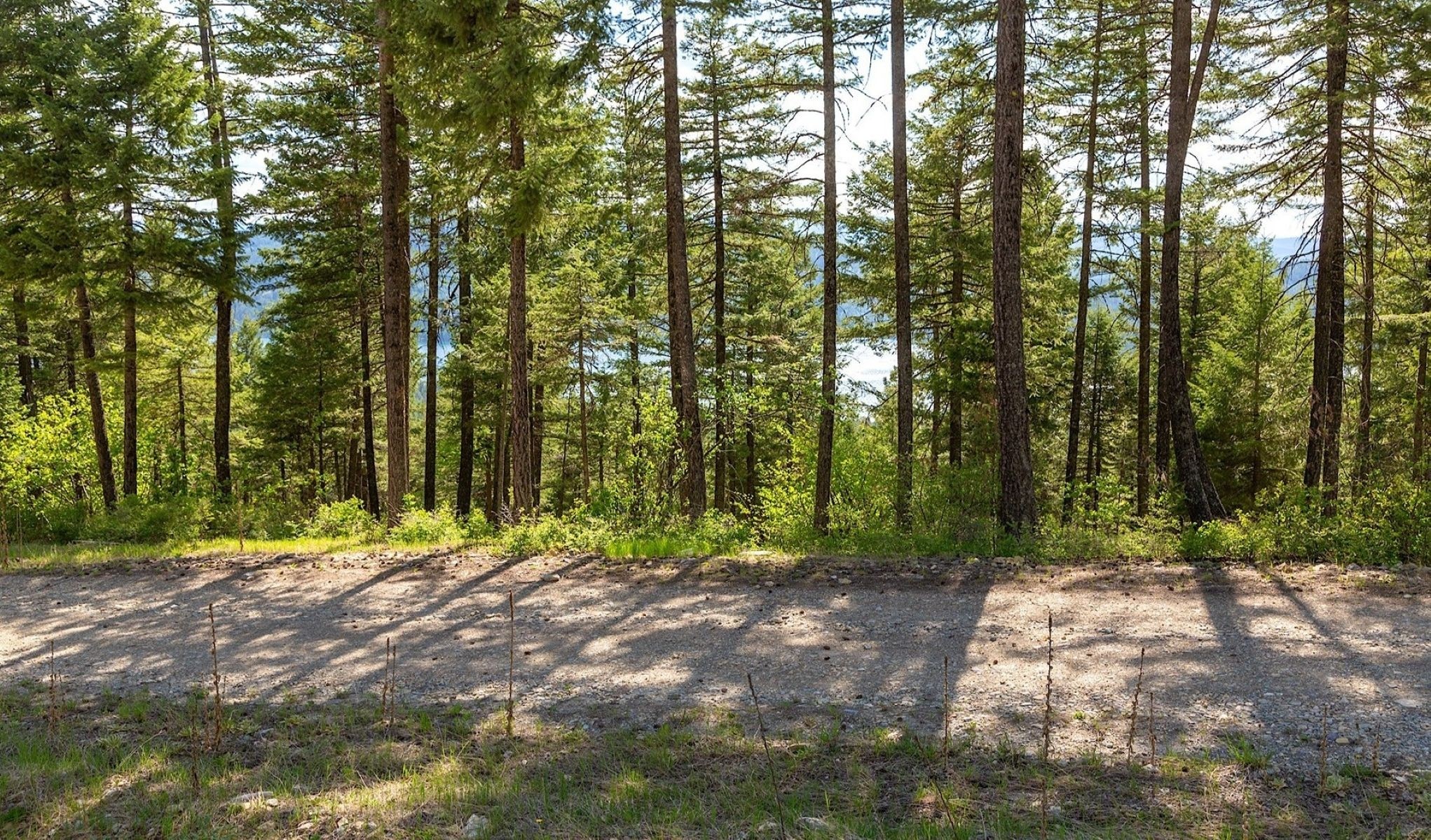  168 Whitefish Lookout Road - 物件實景