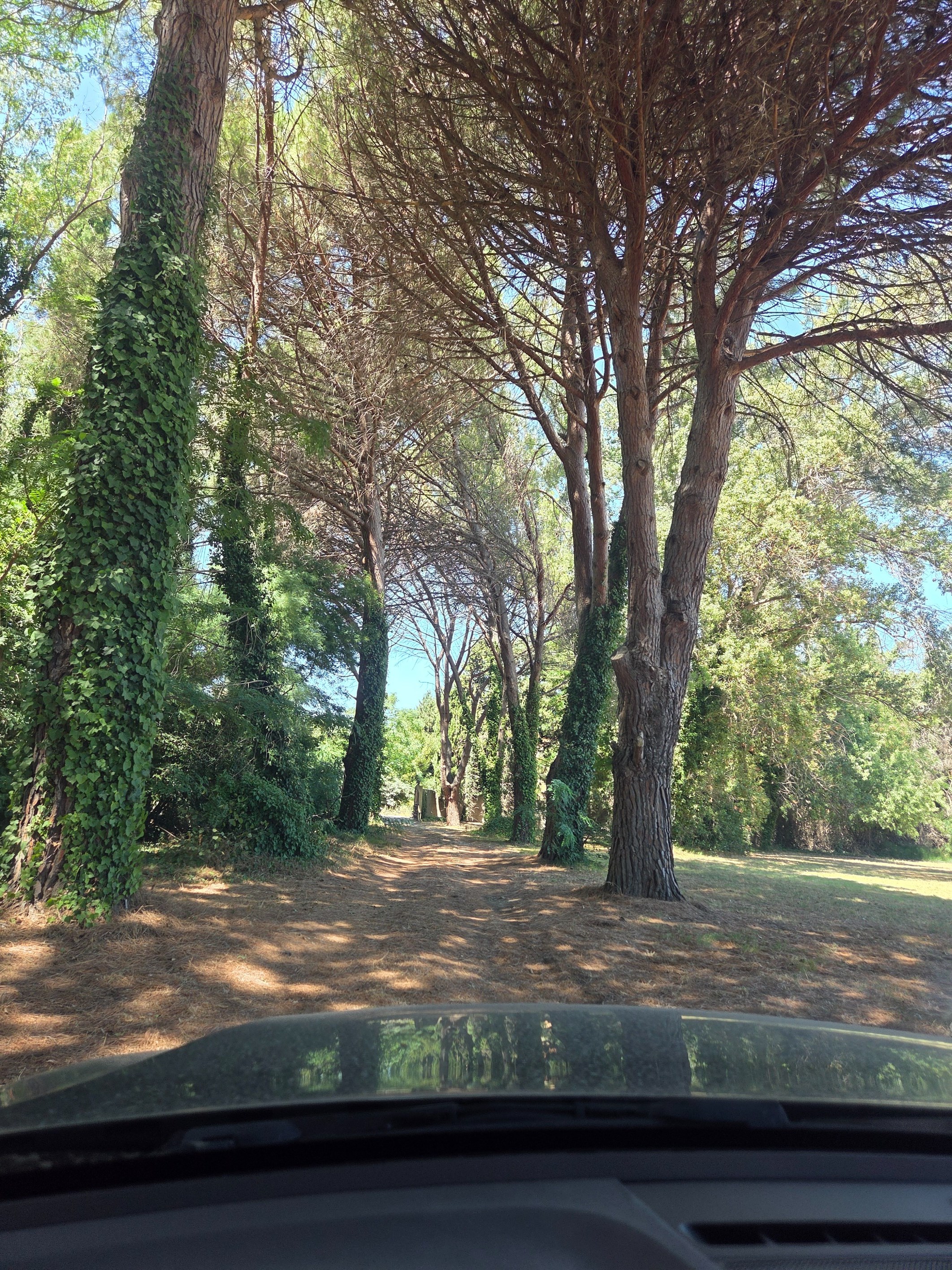  LA BELLE ENDORMIE – ON THE DOORSTEP OF PERPIGNAN - 物件實景