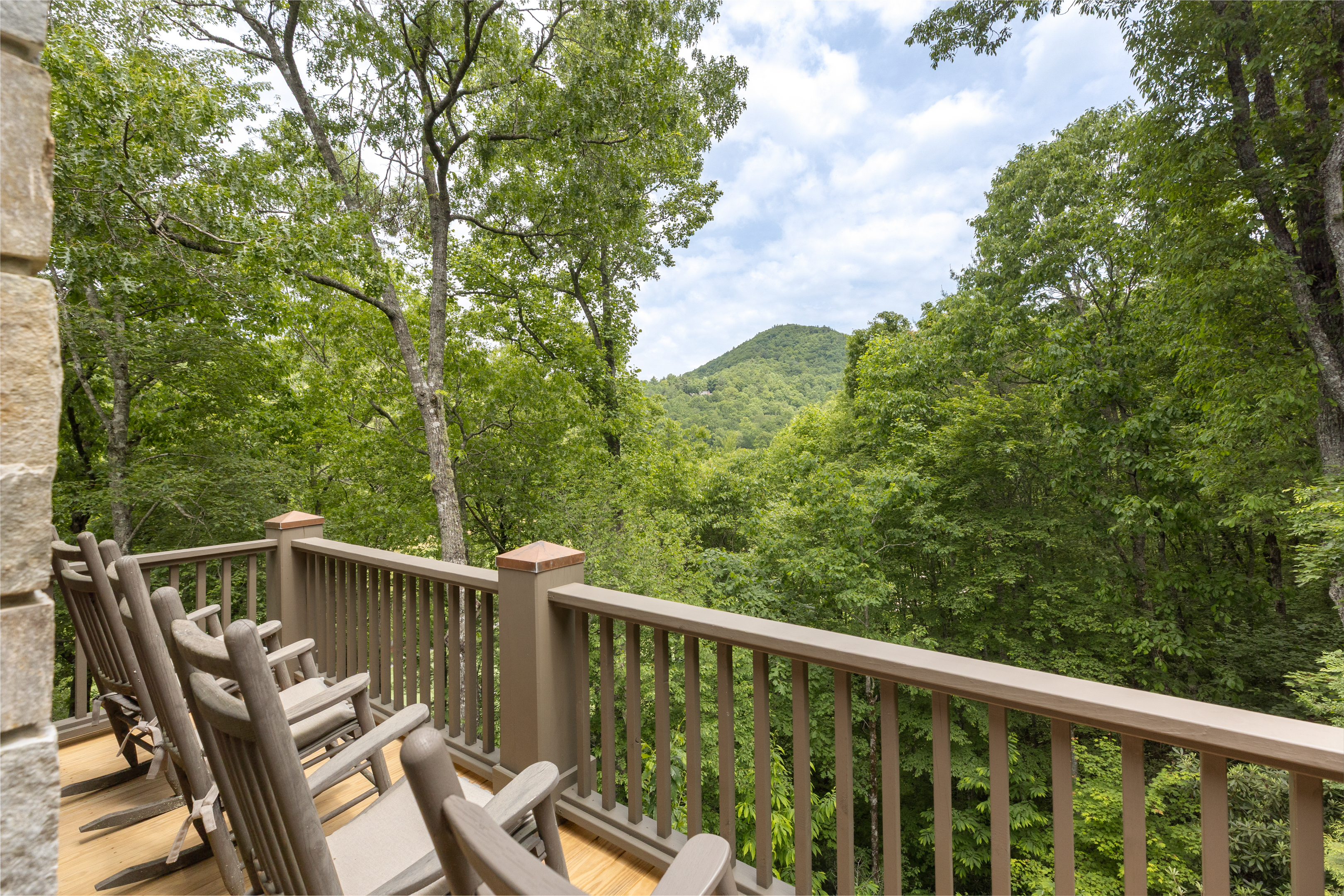  125 Wild Azalea Trail, Wade Hampton Golf Club - 物件實景