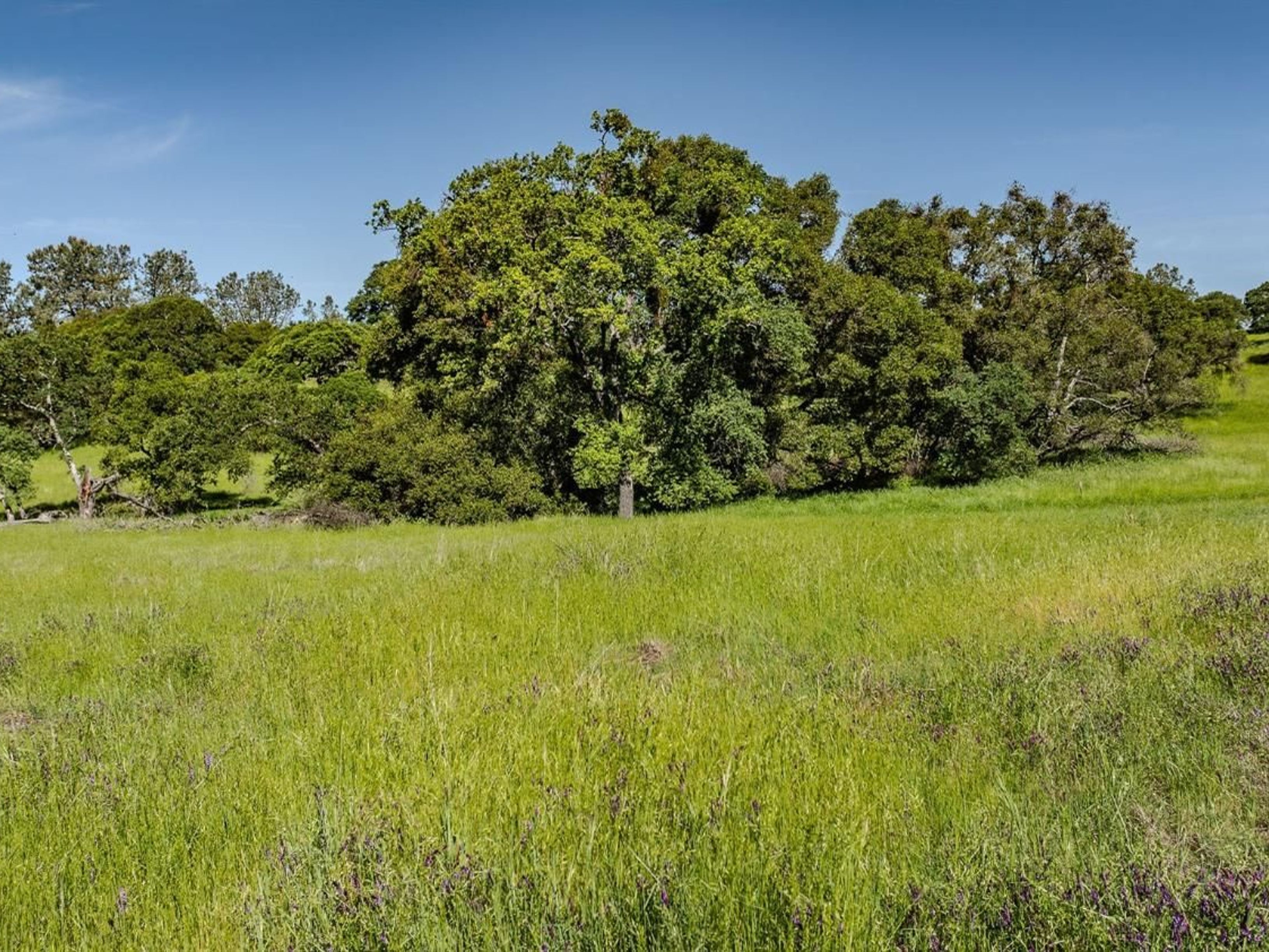  10865 Sunset Drive, Sutter Creek, CA 95685 - 物件實景