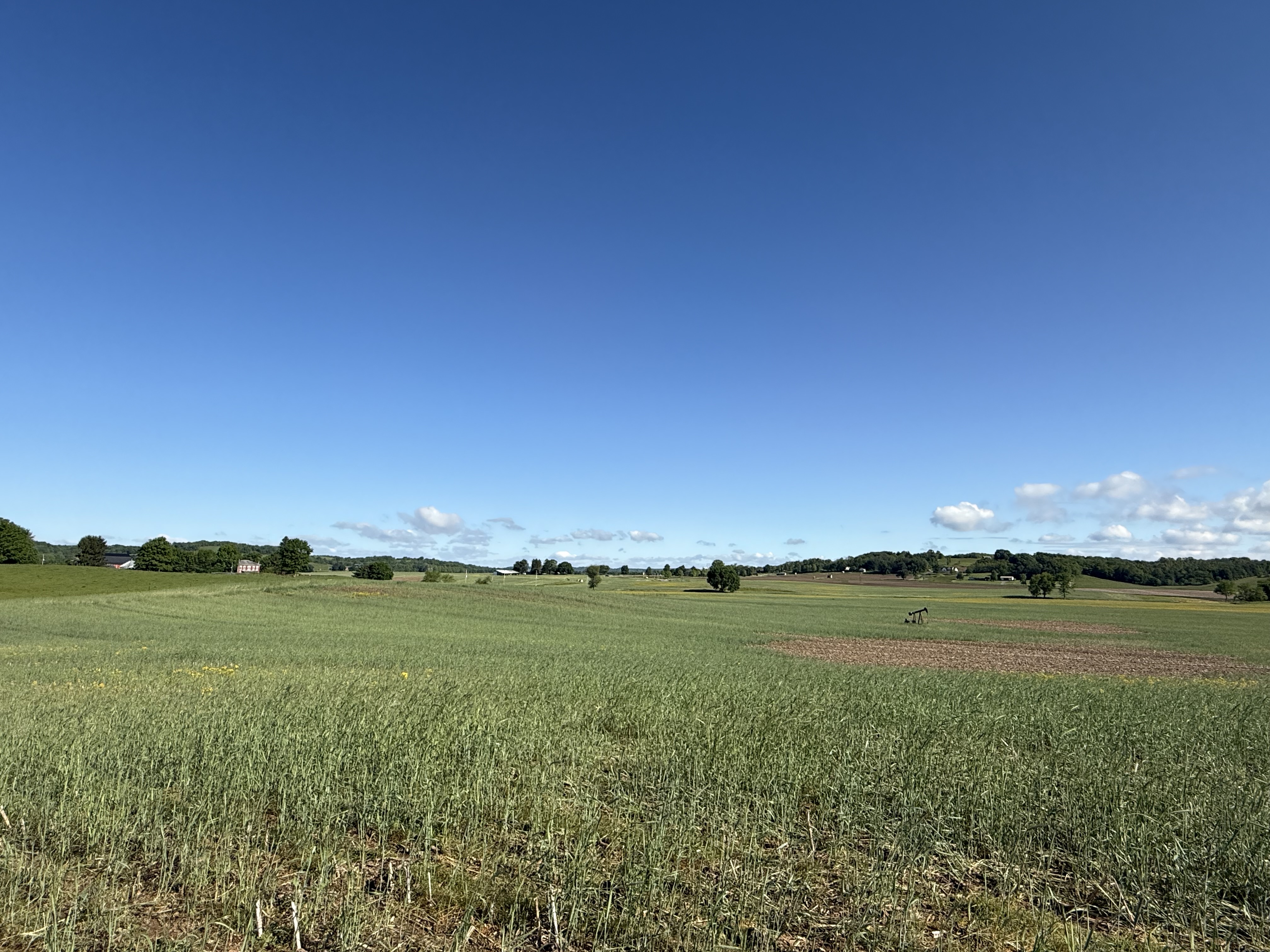 West Lafayette, Ohio, 43845, United States, ,Residential,For Sale,1825407