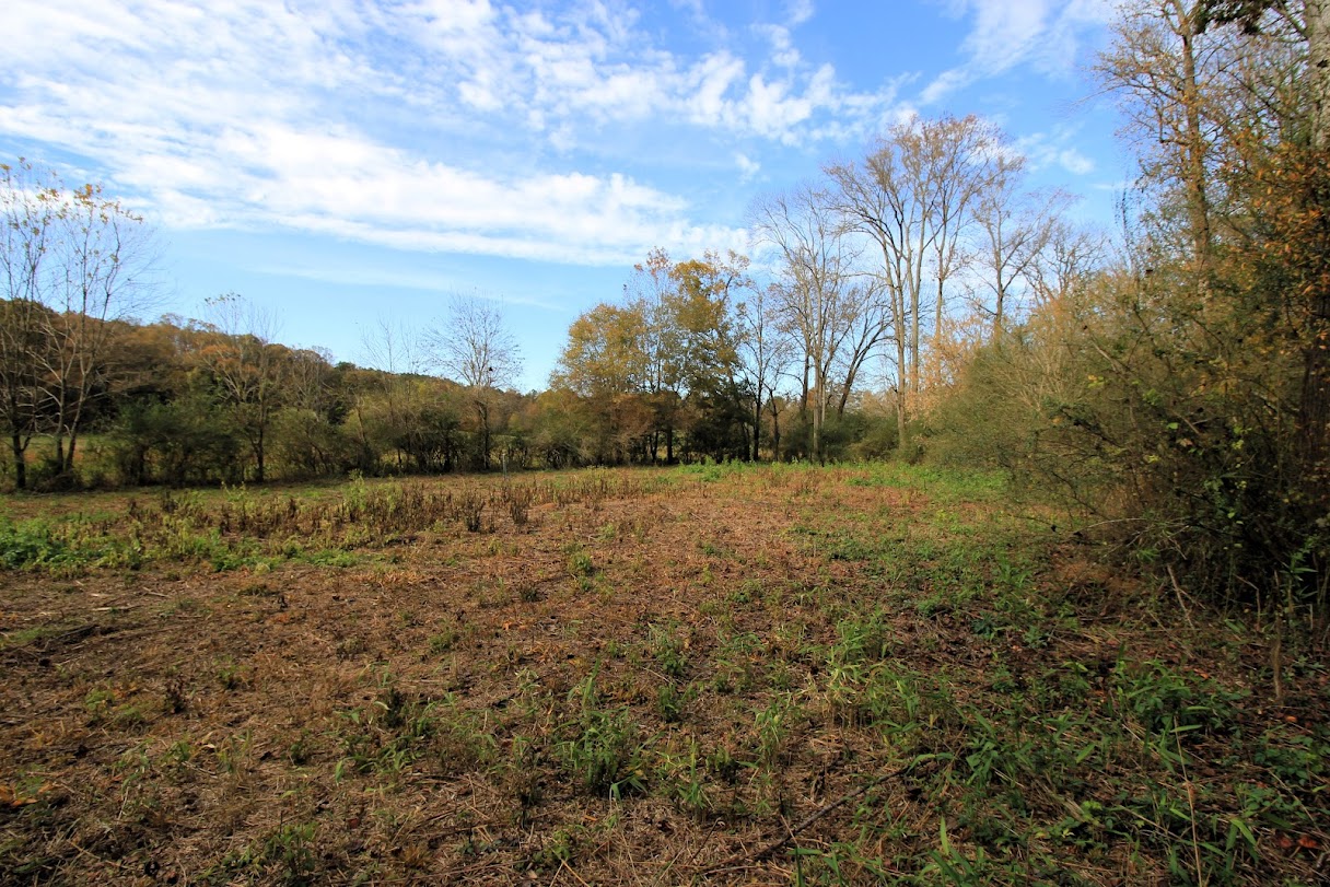 Bowdon, Georgia, 30108, United States, ,Land,For Sale,1989904