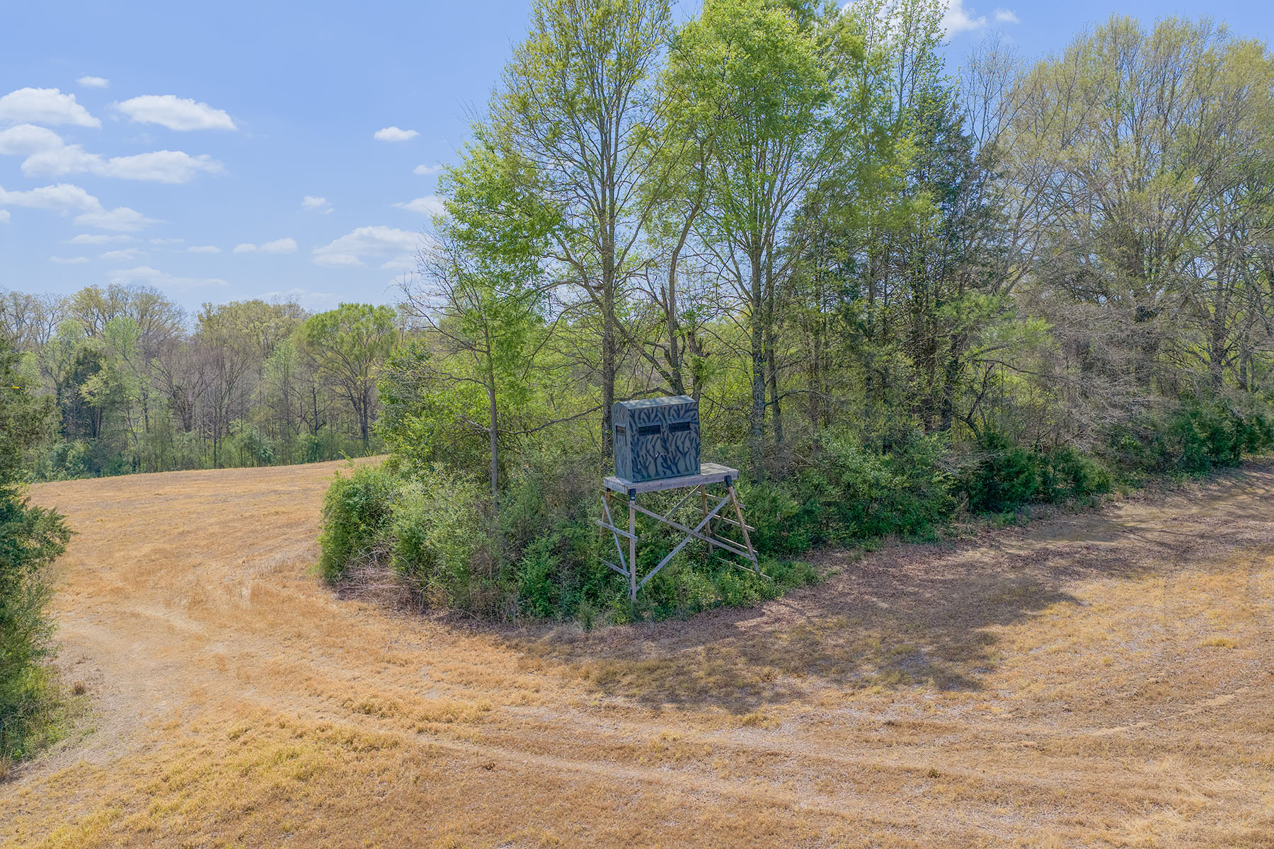  Albemarle - 物件實景