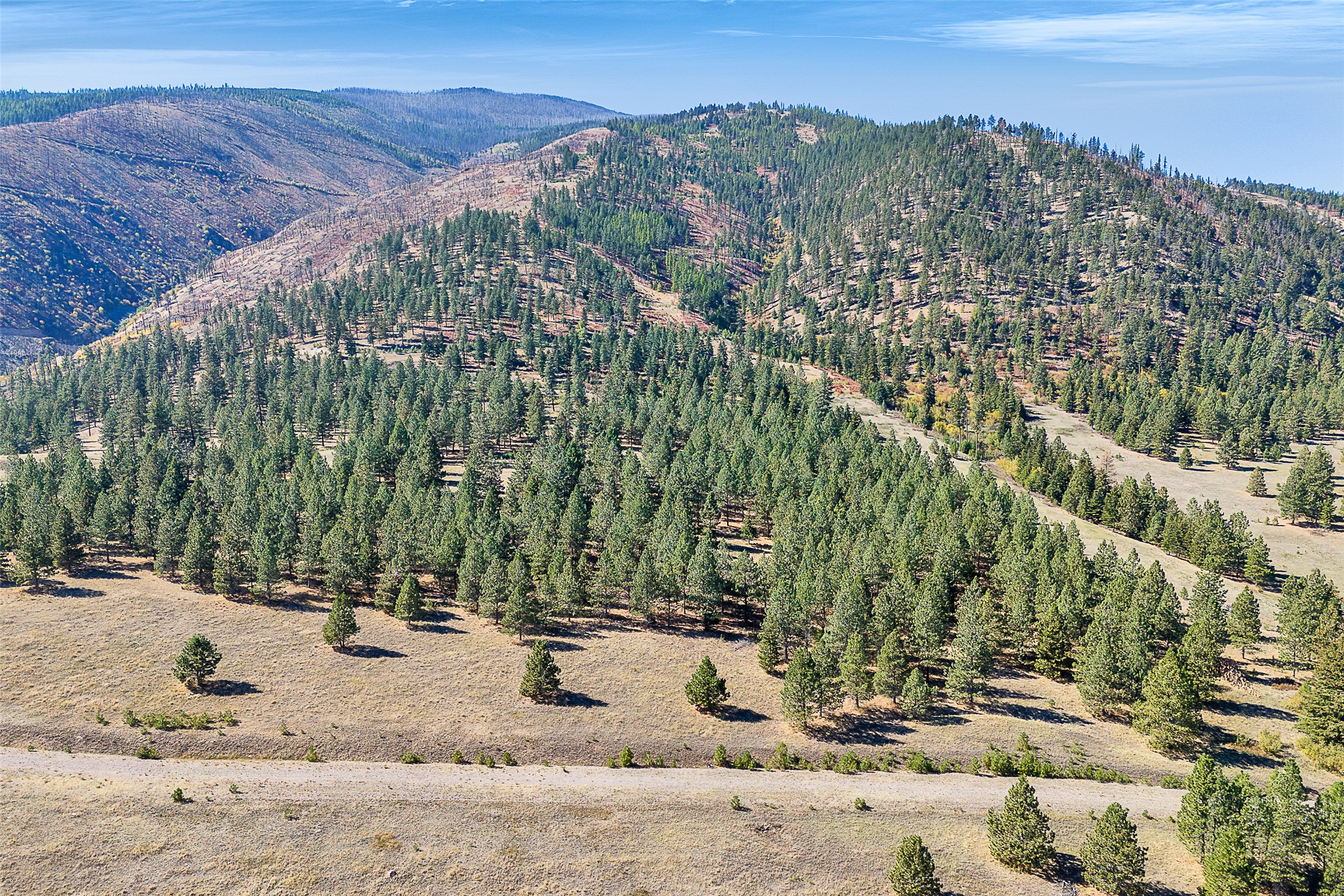  000 Elk Mountain Reserve, Florence, MT, 59833 - 物件實景
